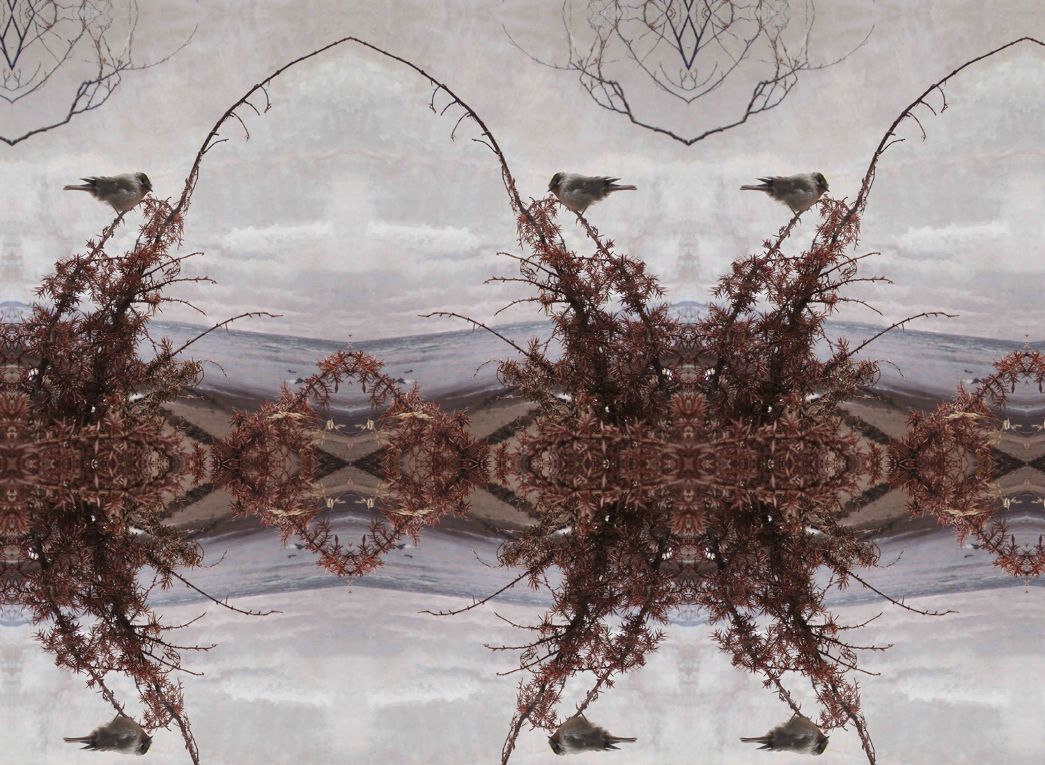  'Untitled' (2009) Digital image, detail from large scale pattern design. 
