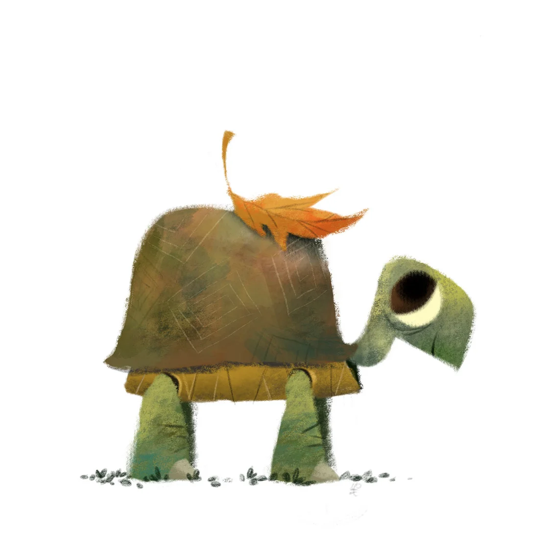 Fall Turtle.jpg