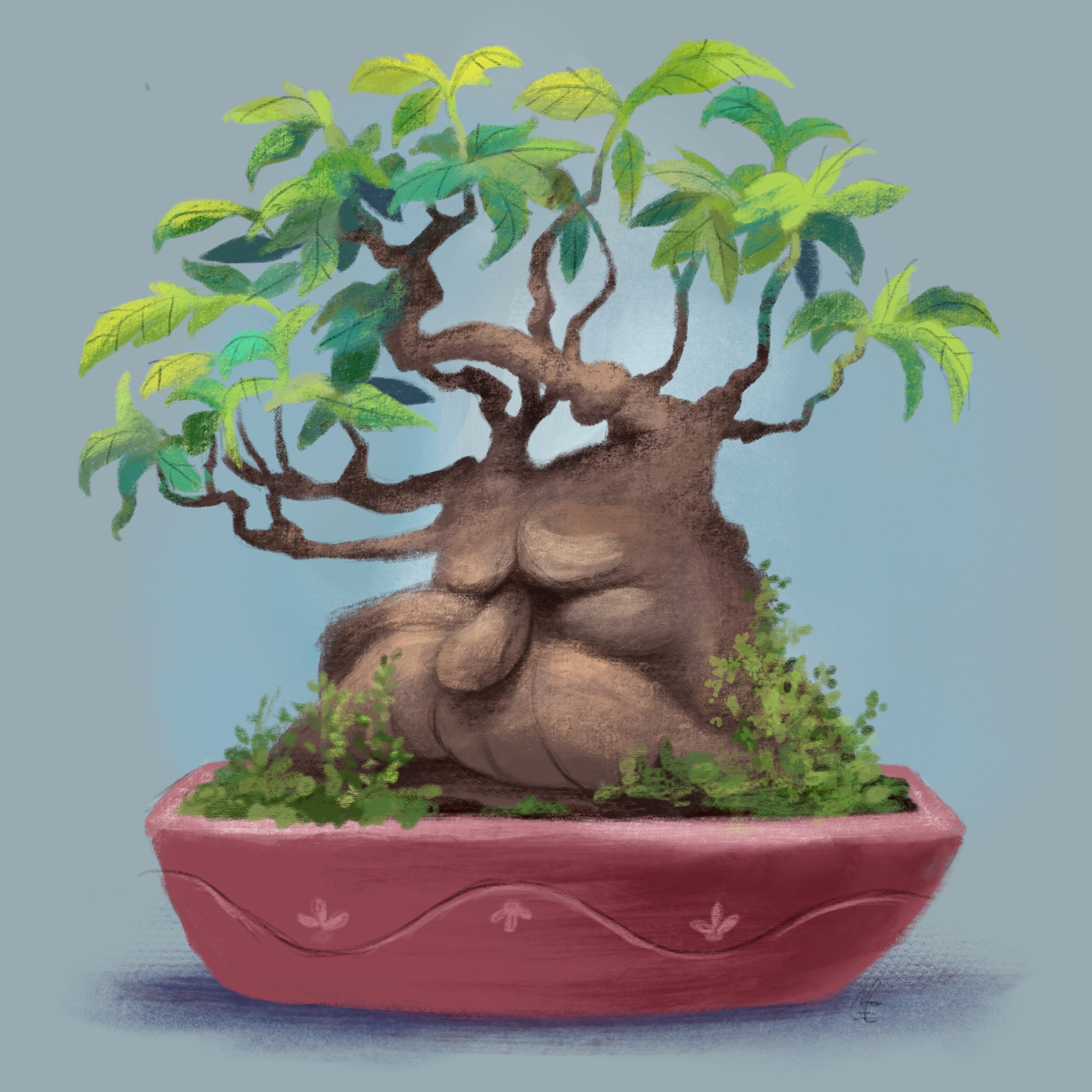 Old_Bonsai (1).jpg
