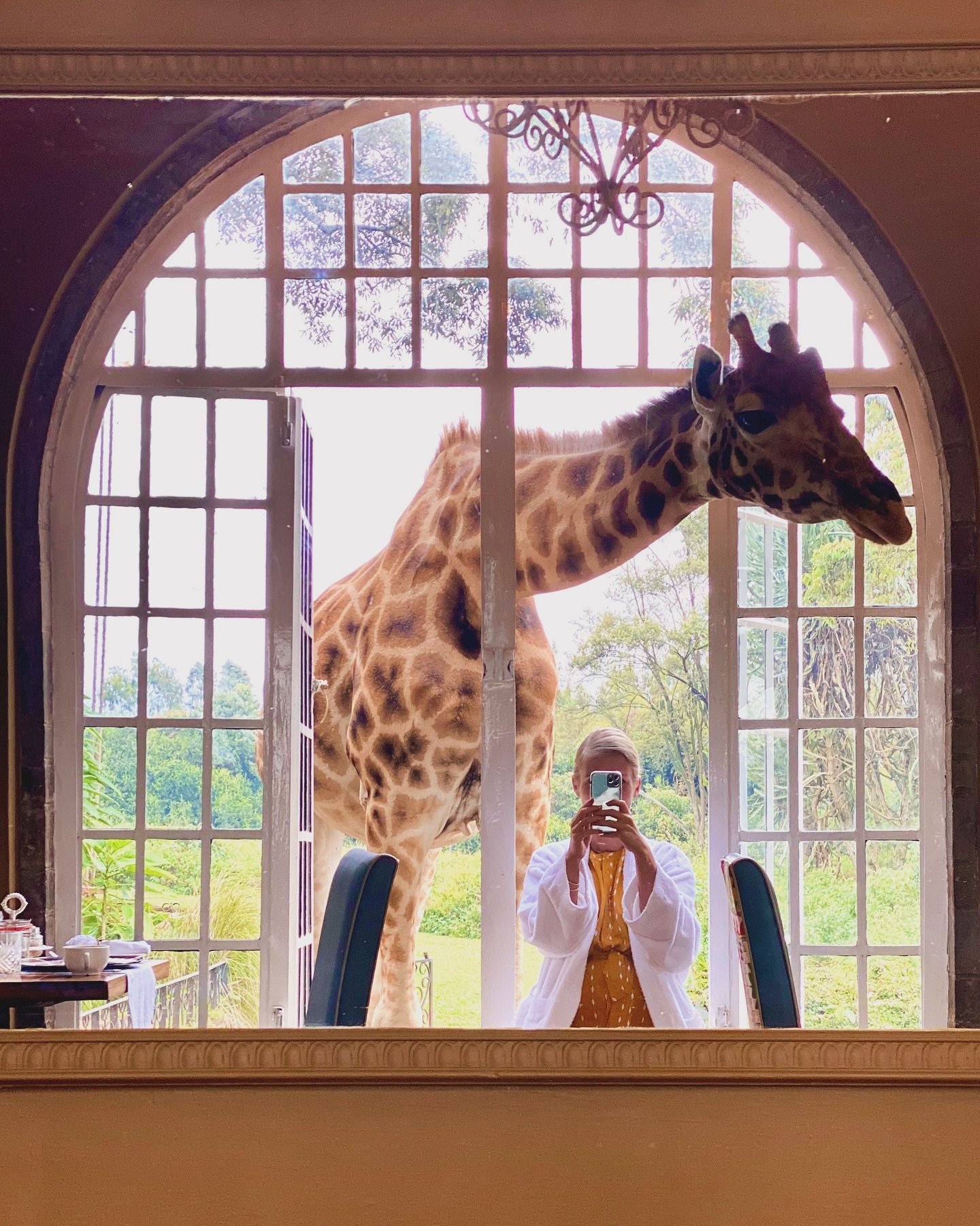 A Nairobi moment - brunch with giraffes 🦒 
#kenyaliving
