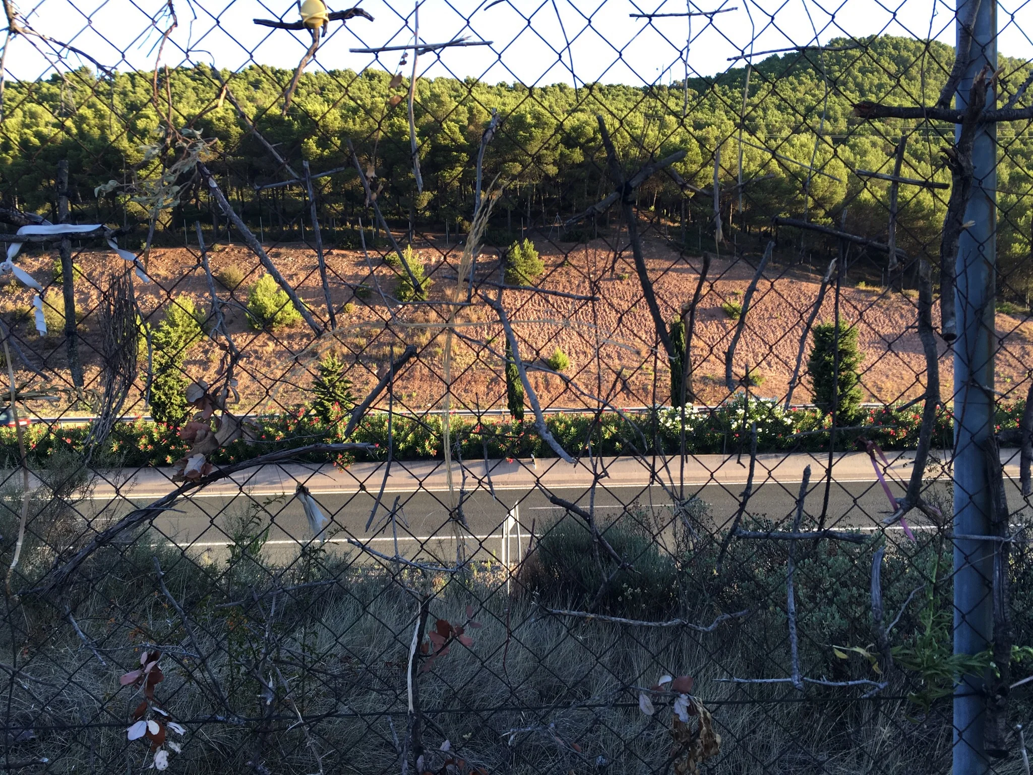 Thousands of crosses on the fence 
