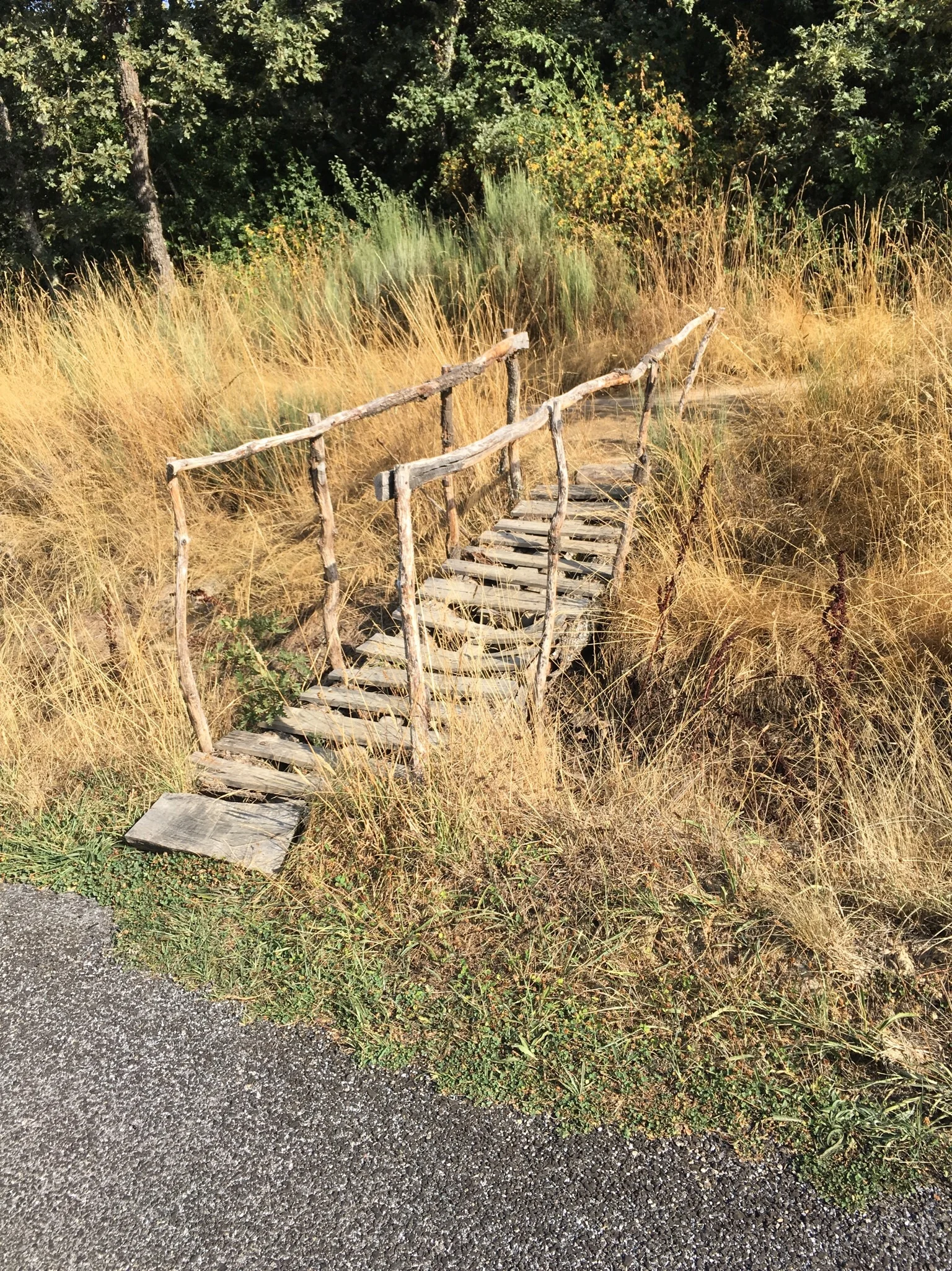 Bridge the gap so that others may follow. 