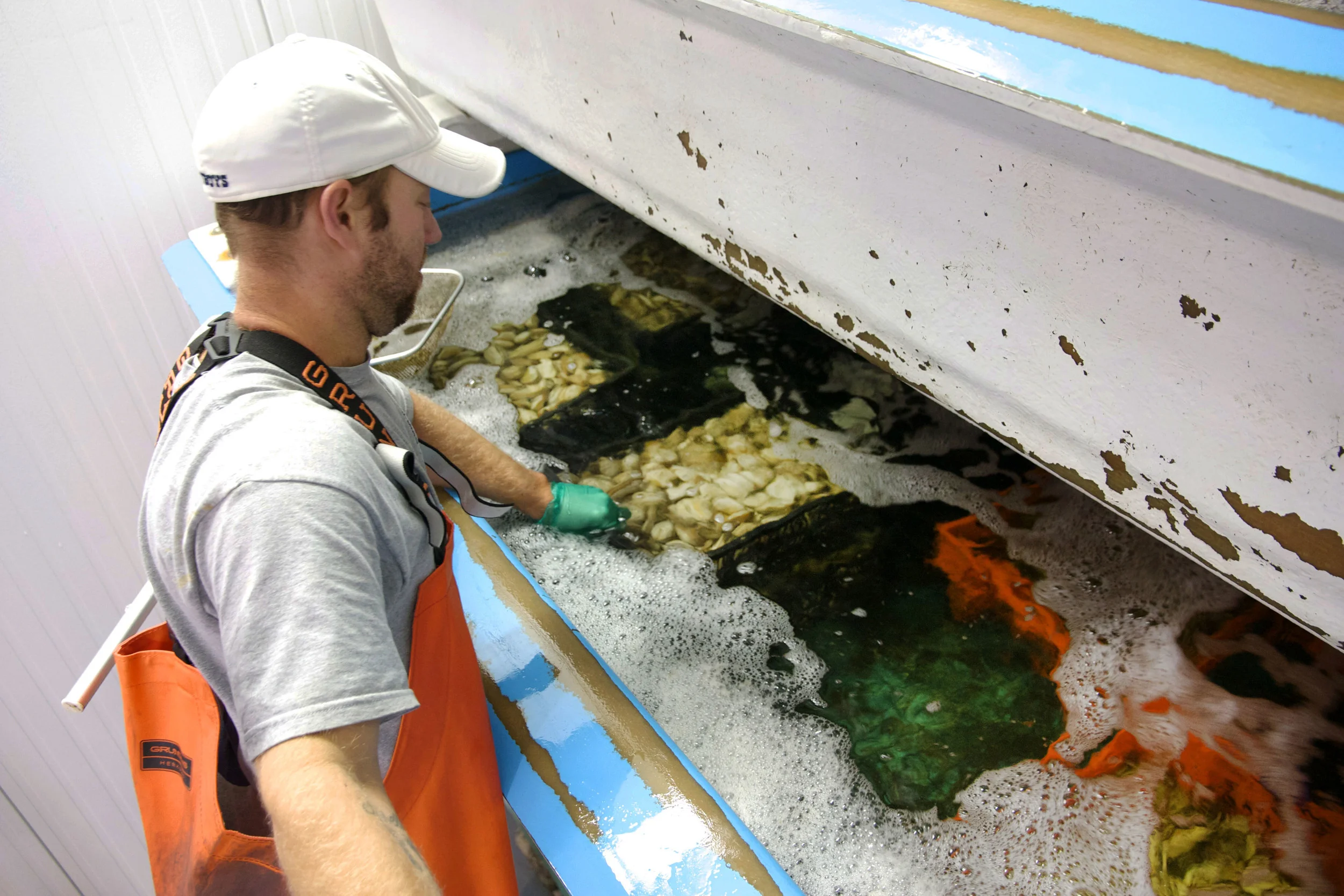 Juliano, our Wet-Storage Specialist, adjusting Perfectly Purged Steamers in the wet-storage system.
