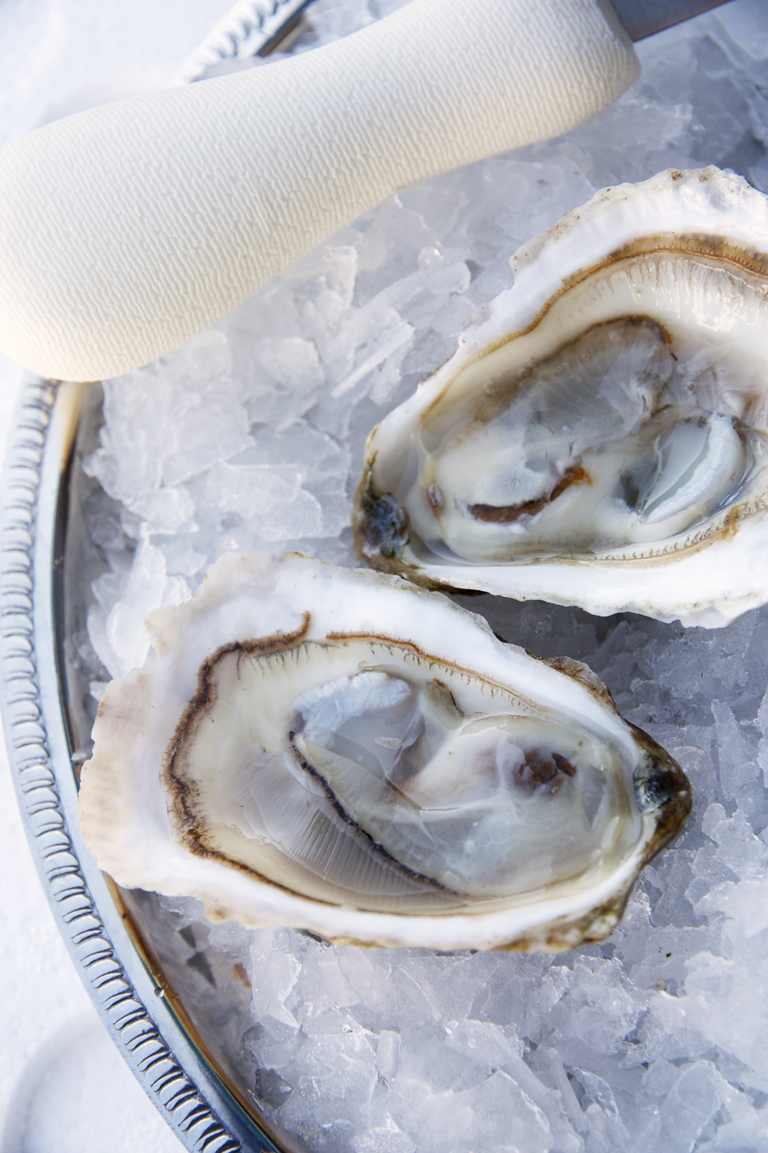 Pangea Shellfish Rock Harbor 1.jpg