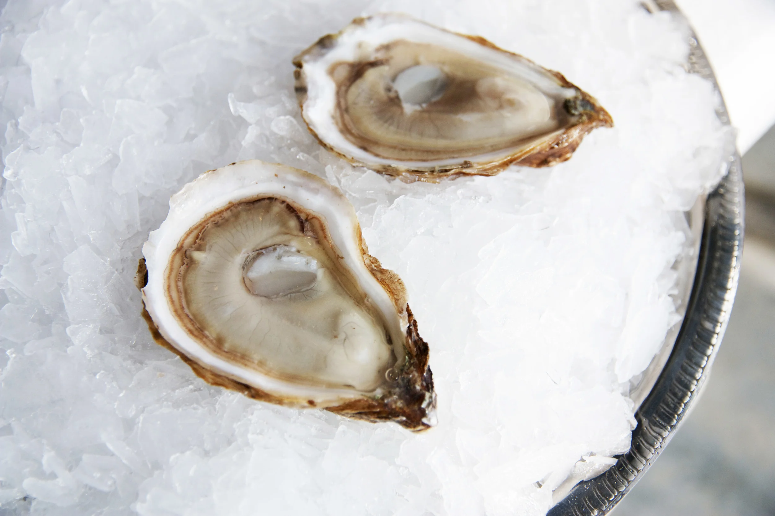 Pangea Shellfish Saint Simon Oyster 3.jpg
