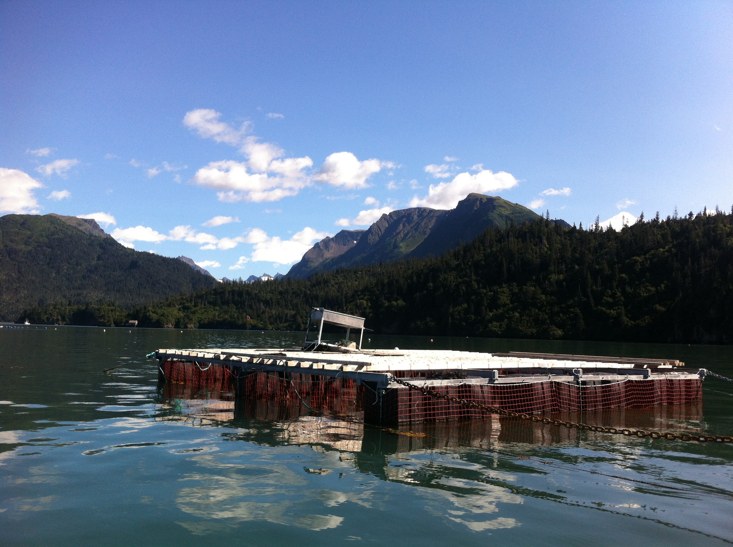 Glacier Point Oysters Oysterology Online ??? Pangea Shellfish Company