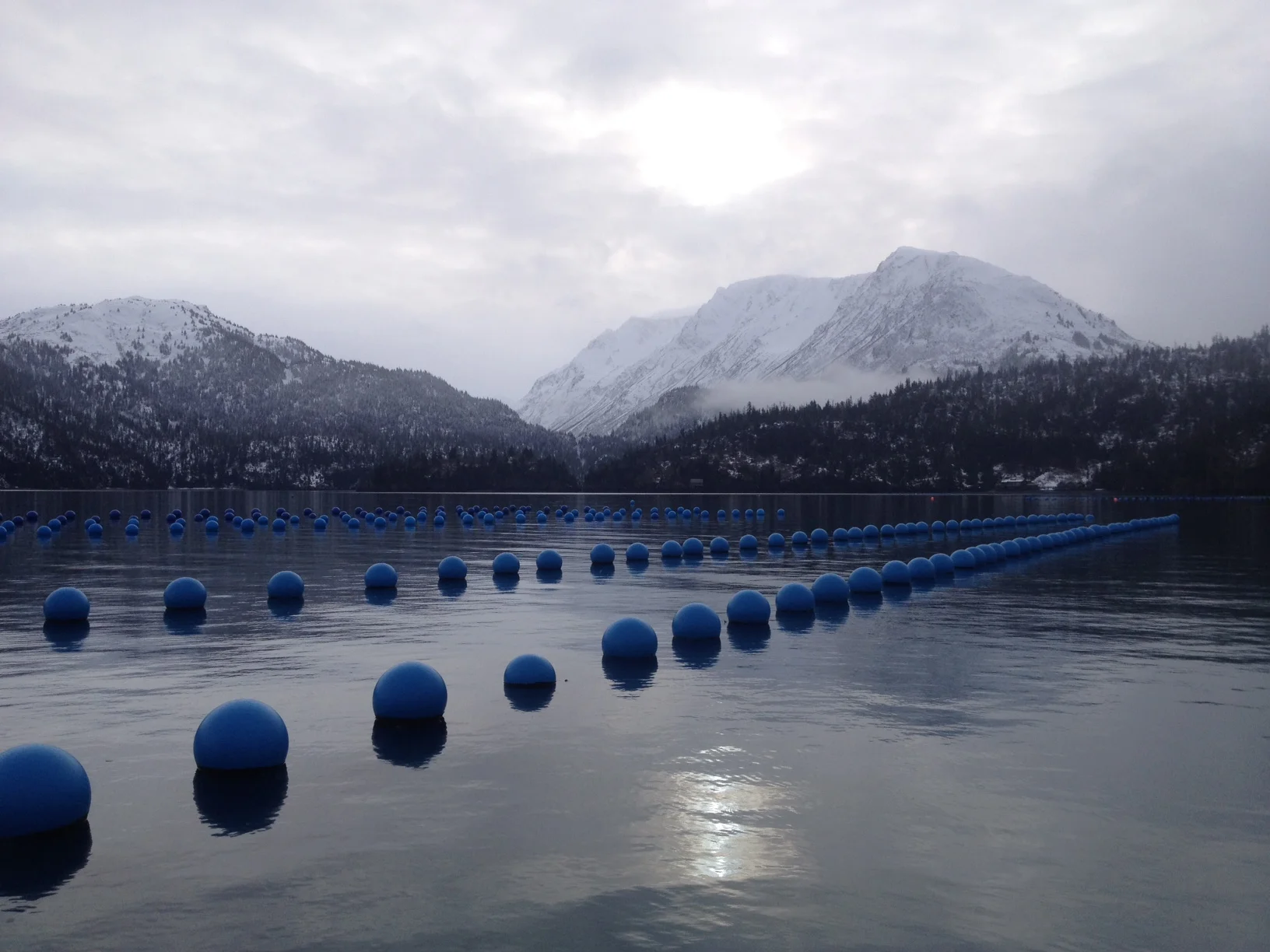 Glacier Point Oysters Oysterology Online ??? Pangea Shellfish Company