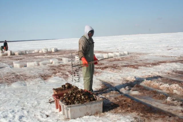 Ice_Fishing_018.jpg