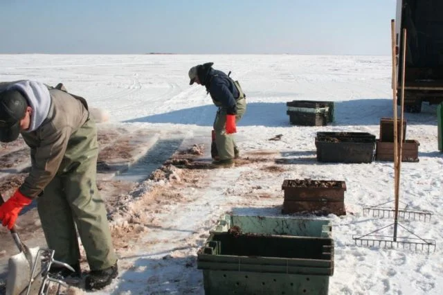 Ice_Fishing_036.jpg
