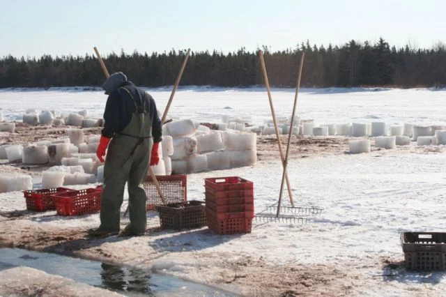 Ice_Fishing_047.jpg