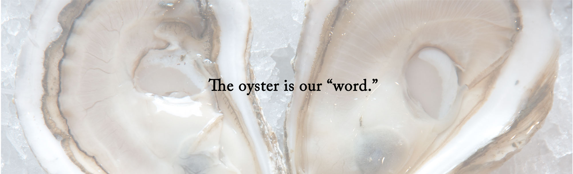Oyster Grading Chart