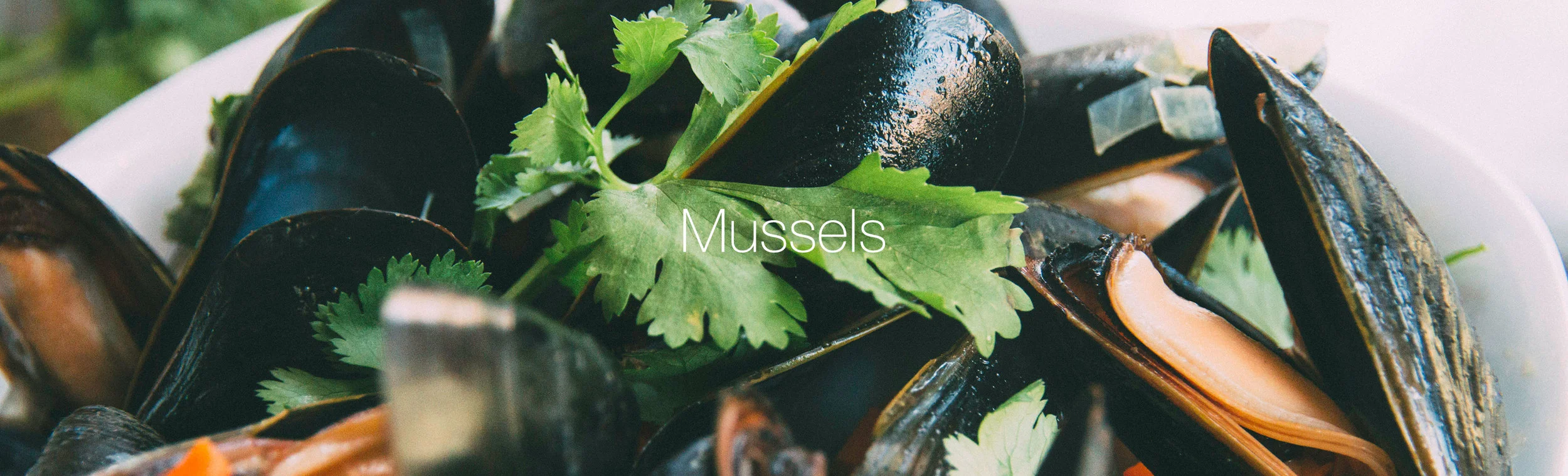 Buy Mussels Wholesale DutchStyle and Wild from Maine and PEI
