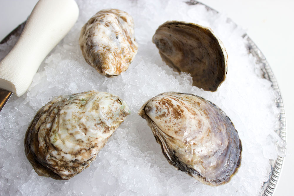 Little Island Oysters Oysterology Online — Pangea Shellfish Company
