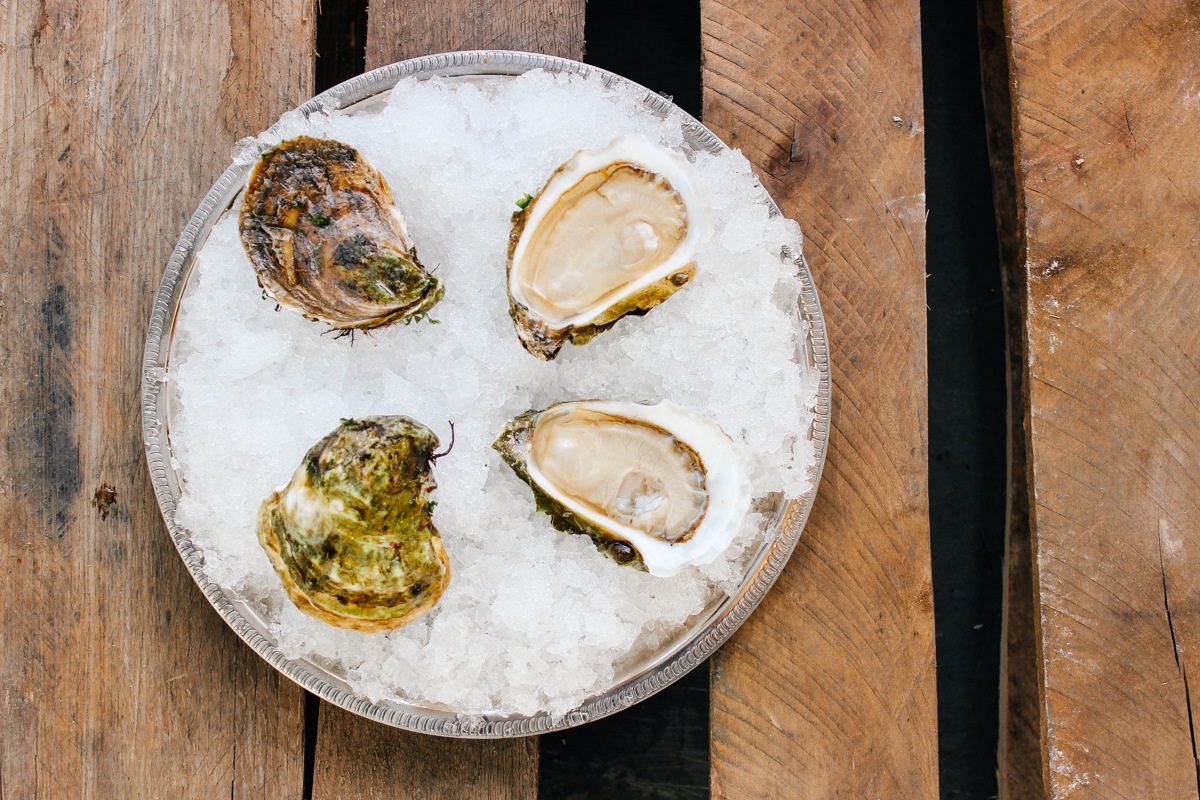 collect wild oyster spat collect wild oyster spat
