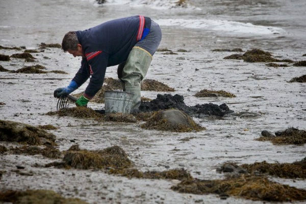 Photo from Bangor Daily News