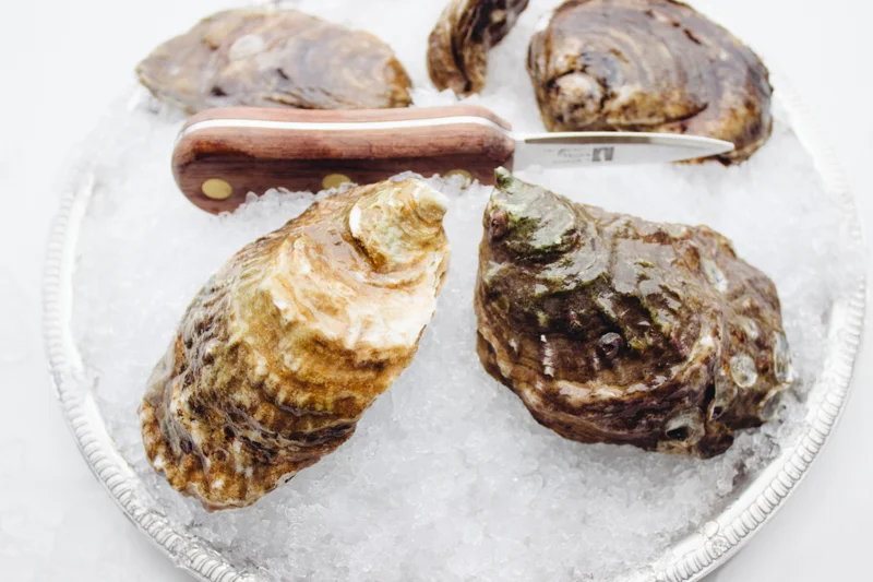 Blue Point Oysters Oysterology Online — Pangea Shellfish Company