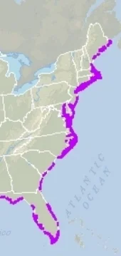 Image credit: Noaa
