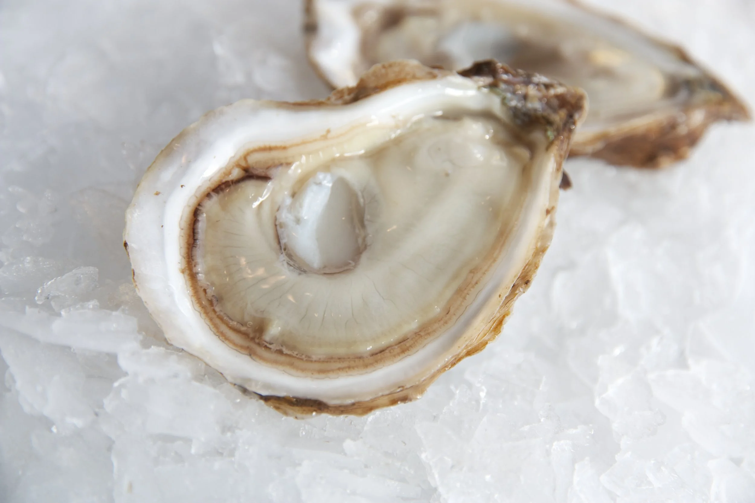 la ST. SIMON oYSTERS