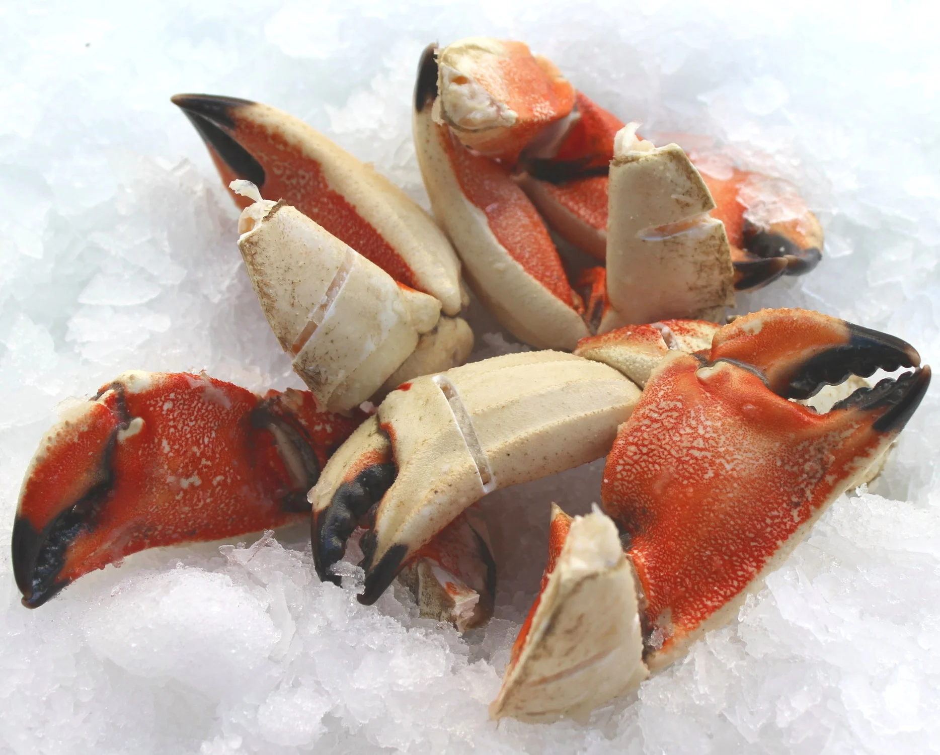 Triple score claws