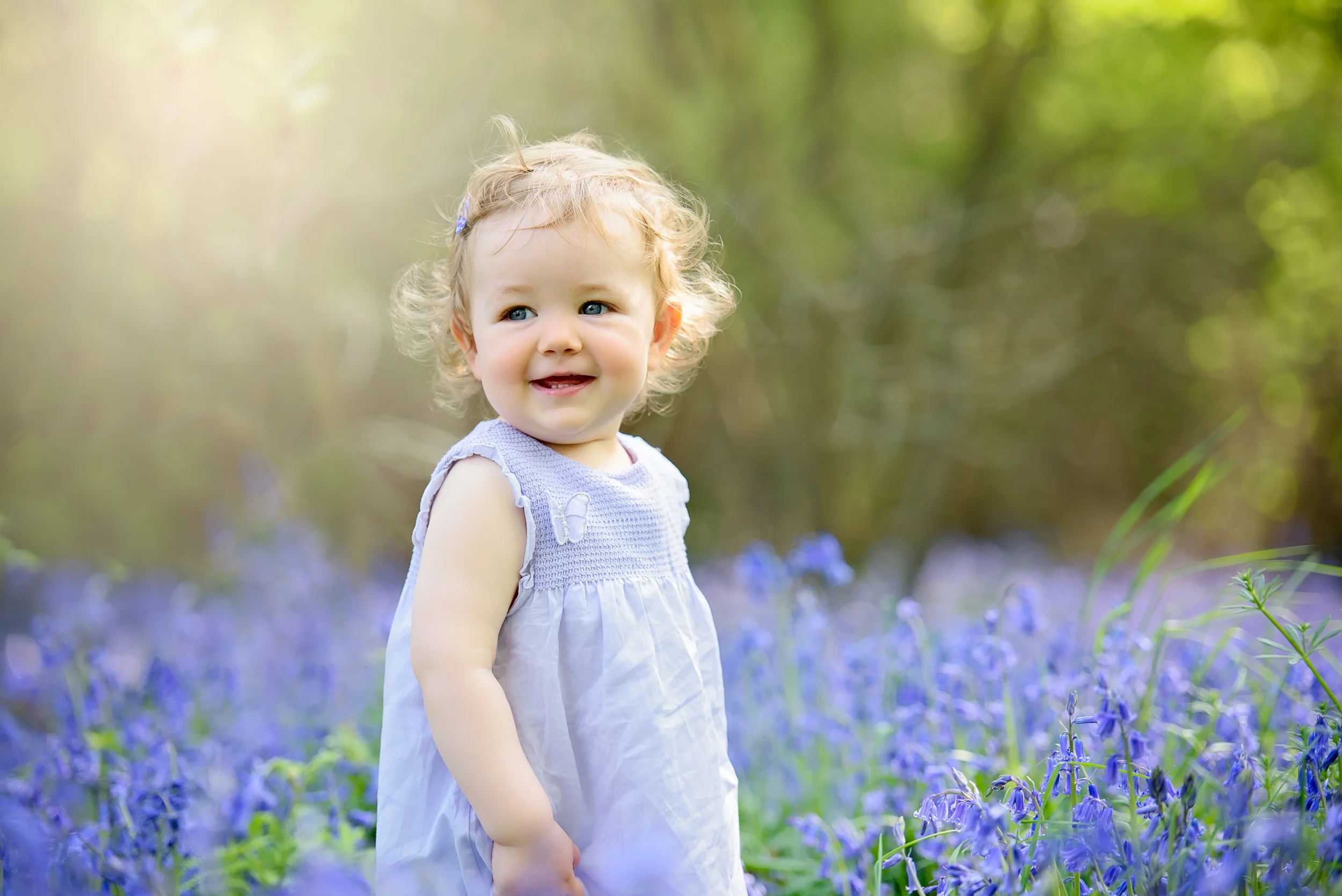 Bluebells photographer