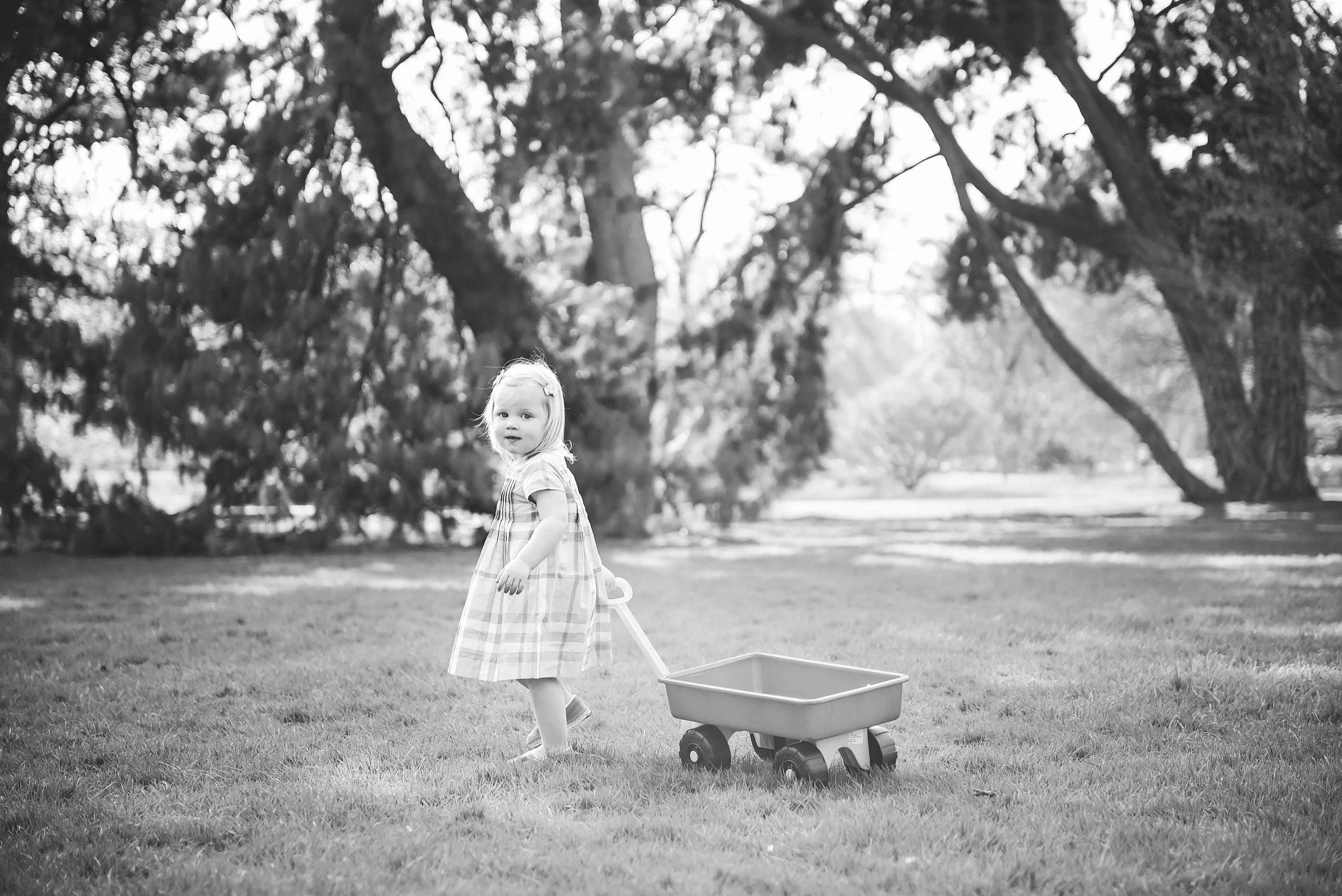Children's photographer