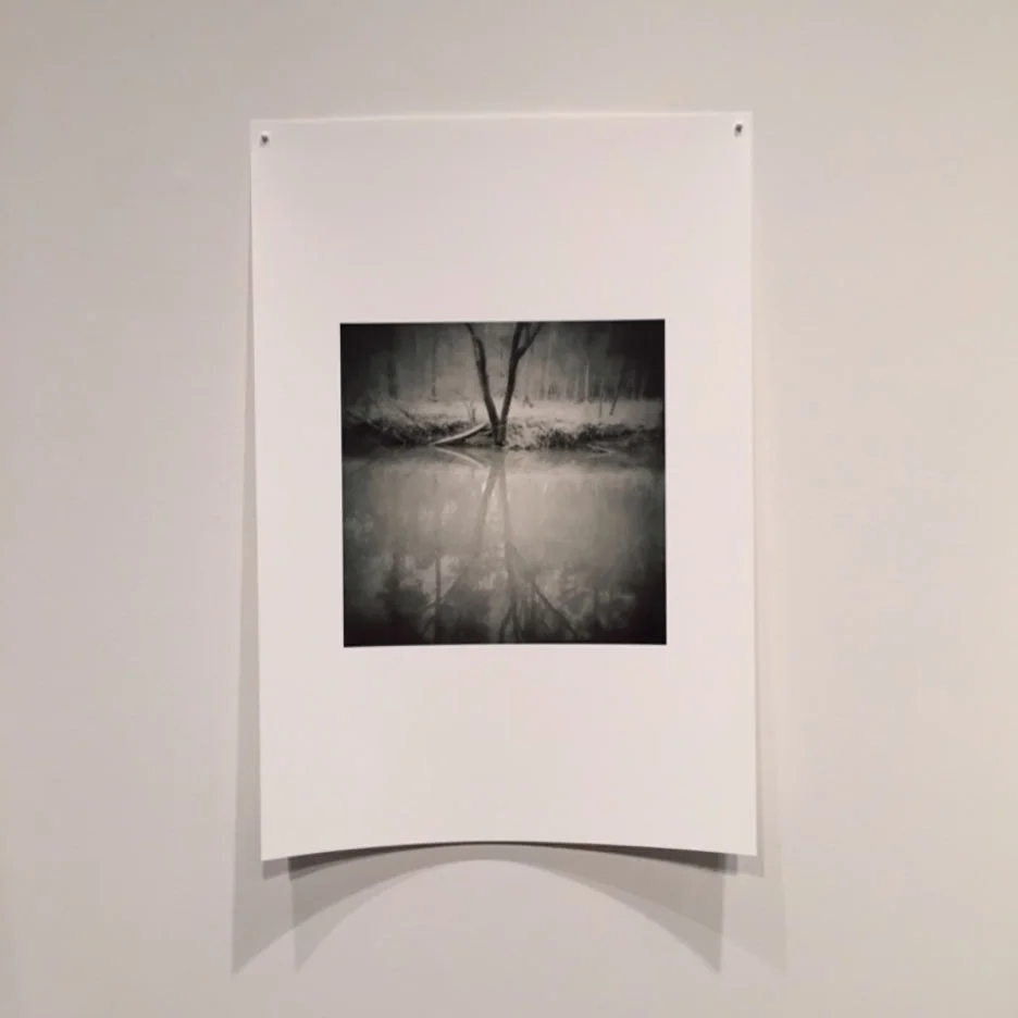 This exhibition is comprised of phone camera images only which were uploaded to the Power Plant Gallery and then printed on Museo Silver Rag paper. The paper is gorgeous and luckily, we get to have the prints when the exhibit comes down. I was not familiar with Museo's products. They are located in Massachusetts and you can find out more about them on their website: http://www.museofineart.com Highly recommend them.