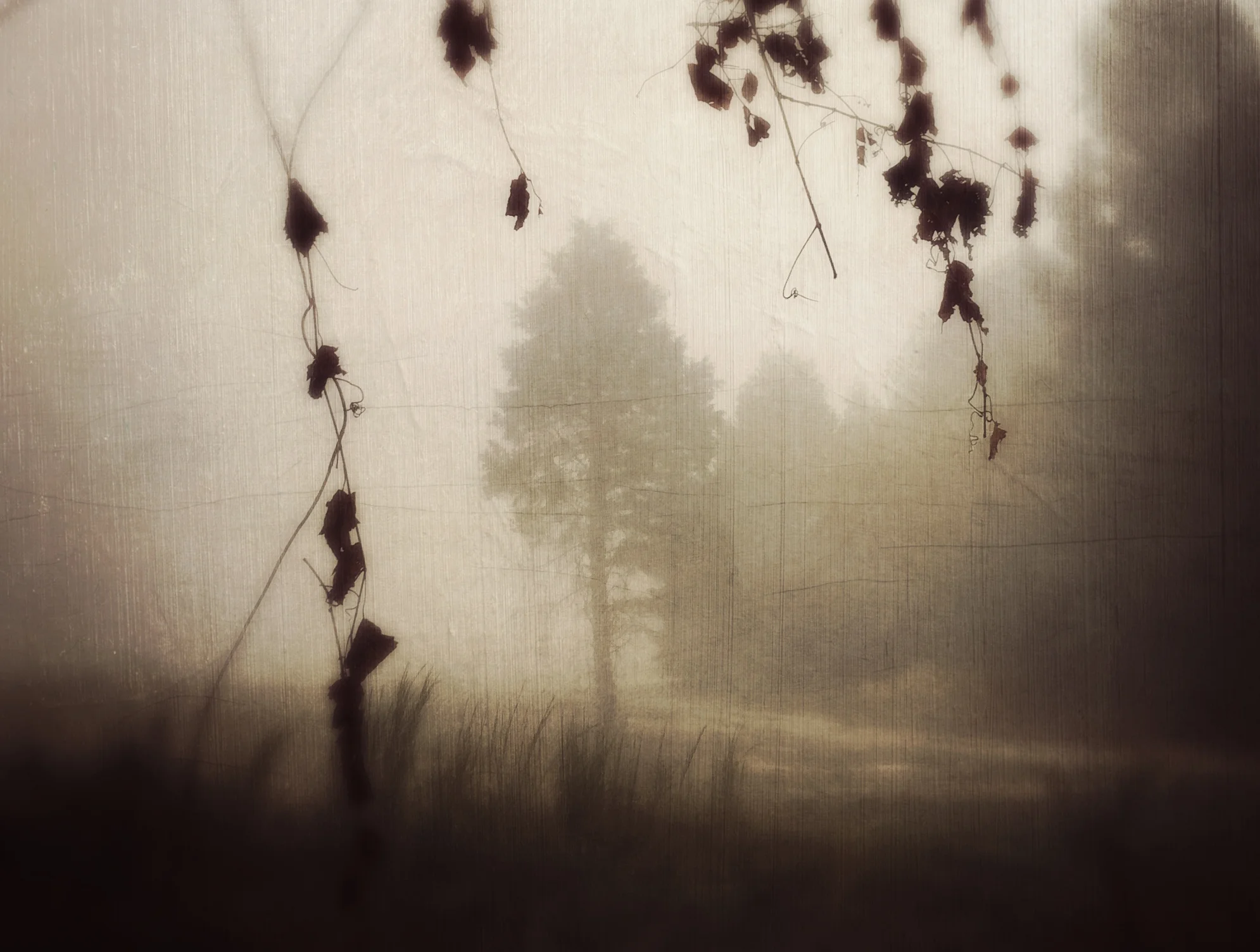 “And every year there is a brief, startling moment When we pause in the middle of a long walk home and Suddenly feel something invisible and weightless Touching our shoulders, sweeping down from the air: It is the autumn wind pressing against our bodies; It is the changing light of fall falling on us.” ― Edward Hirsch , Wild Gratitude the strange and haunting time of early fall.