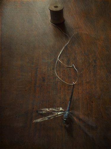 when i was very young, my mother told me that a dragonfly would stitch my mouth shut if it landed on me. for many years afterward, i was terrified of dragonflies and would scream if they came near me. i was sure their long tail was as sharp as a needle...that they would hurt me as they stitched my mouth closed. my mother never knew how her words had effected me. what seemed harmless to her was deeply traumatizing to me. it was that way with most of her words. what i came to understand many years later, was that dragonflies were not the ones who could hurt me, it was my mother.
