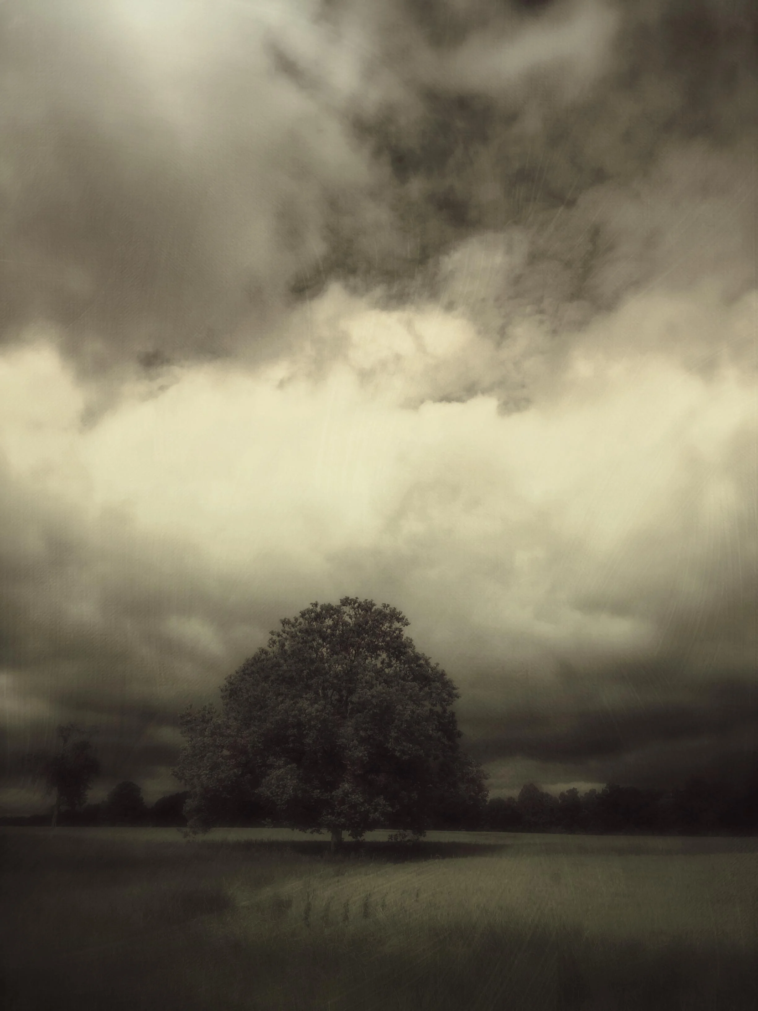 unpredictable and ever changing...this is life. my show, the leaving, is opening on sunday and i am so thrilled. the work was born out of upheaval, loss and transition. it is deep, soul work. it is work that reflects the healing and the tenacity of the human spirit through grief and pain. the universe has an amazing sense of irony. on monday, tim's workplace burned to the ground. luckily no one was hurt. the sheer devastation of this loss has been surreal. i bear witness as he and his colleagues pick up the pieces with grace and guts, determined to rebuild once again. art and life perfectly mirrored. as i look into the eyes of my beautiful grandson, i am reminded that nothing stays the same. the only thing constant is change. we are told that grief comes in stages. they are not stages, they are feelings and we feel them as we work towards resolution. there are no right or wrongs, there are only choices. and when we least expect it, the intensity of grief will make itself known again and again, of this you can be sure. it is at that time that we do not dare to shame ourselves for “not getting over it” but realize that as life moves us, we move with it. because our worldview changes over time, grief will quietly demand us to revisit it and to glean different lessons. and it is in that way that we press forward…..feeling, learning, creating and kicking some ass.