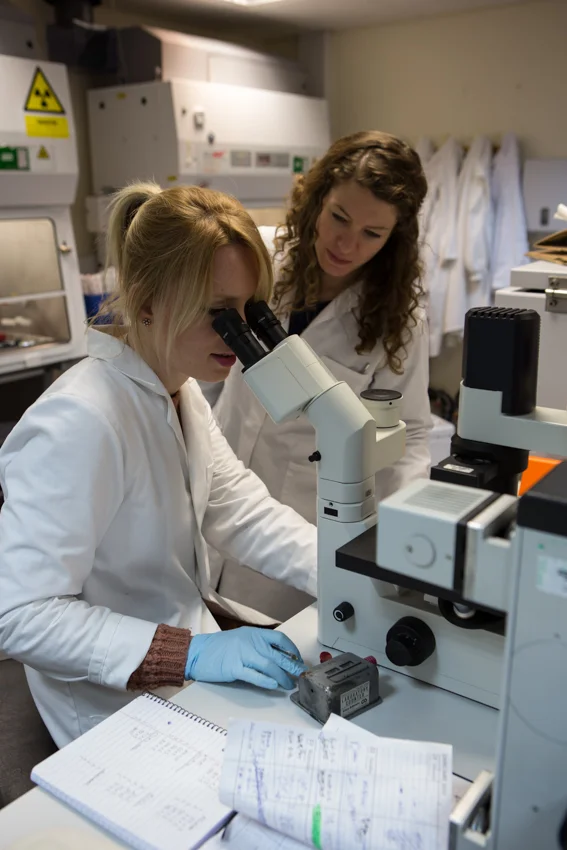 KingsCollegeResearch_56.jpg