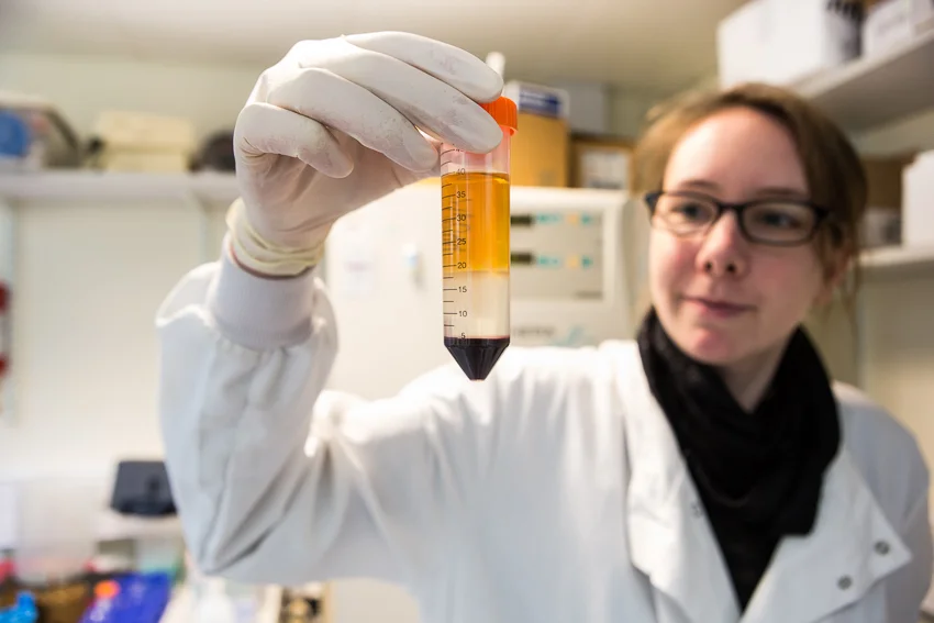 KingsCollegeResearch_75.jpg