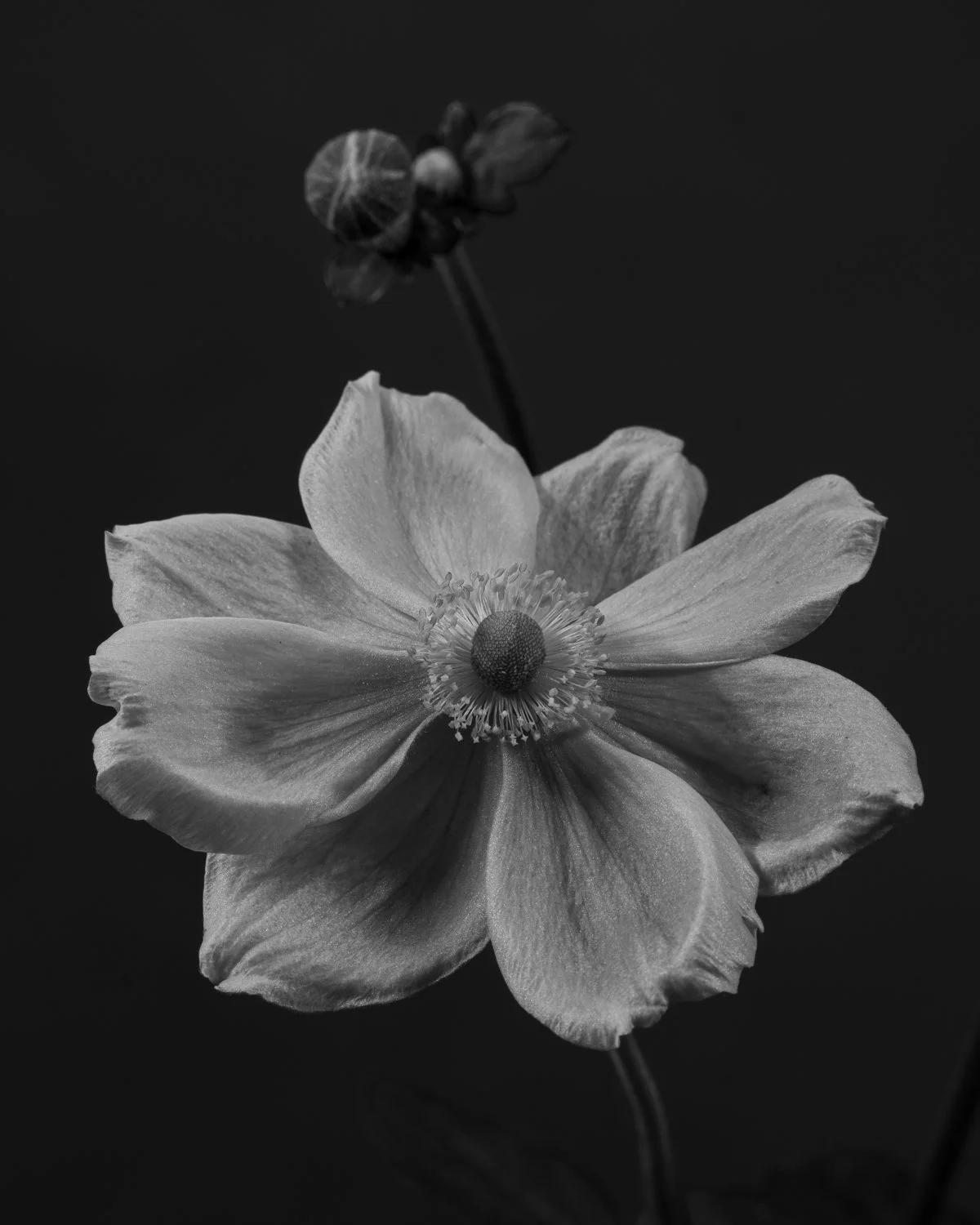 _JC16111.jpg