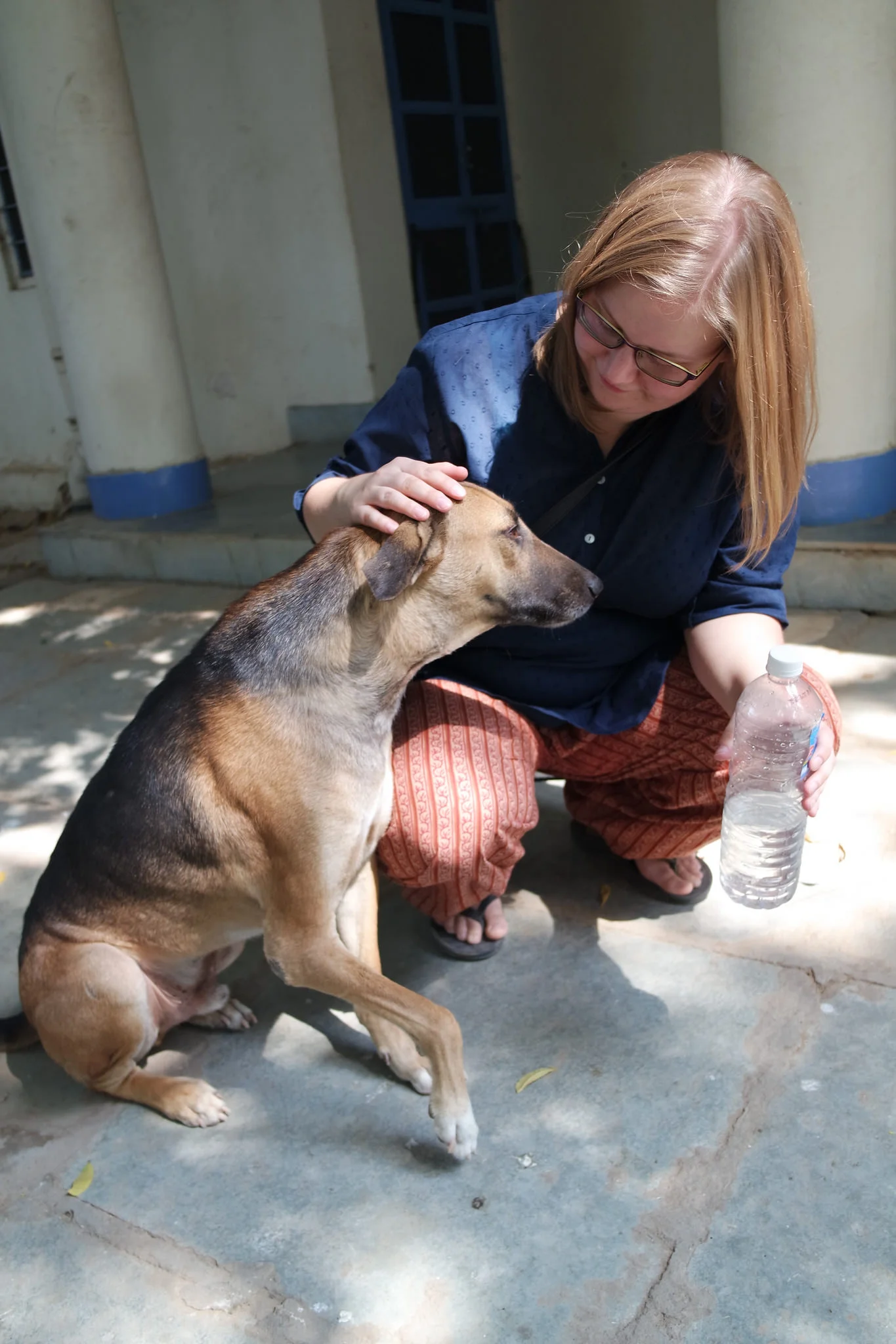 Animal Care and Rescue