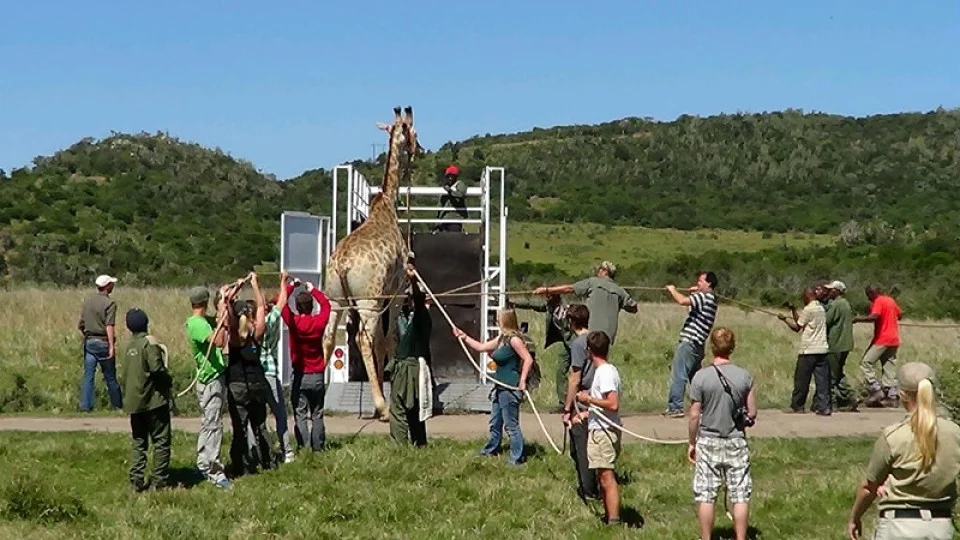 Hands on Big 5