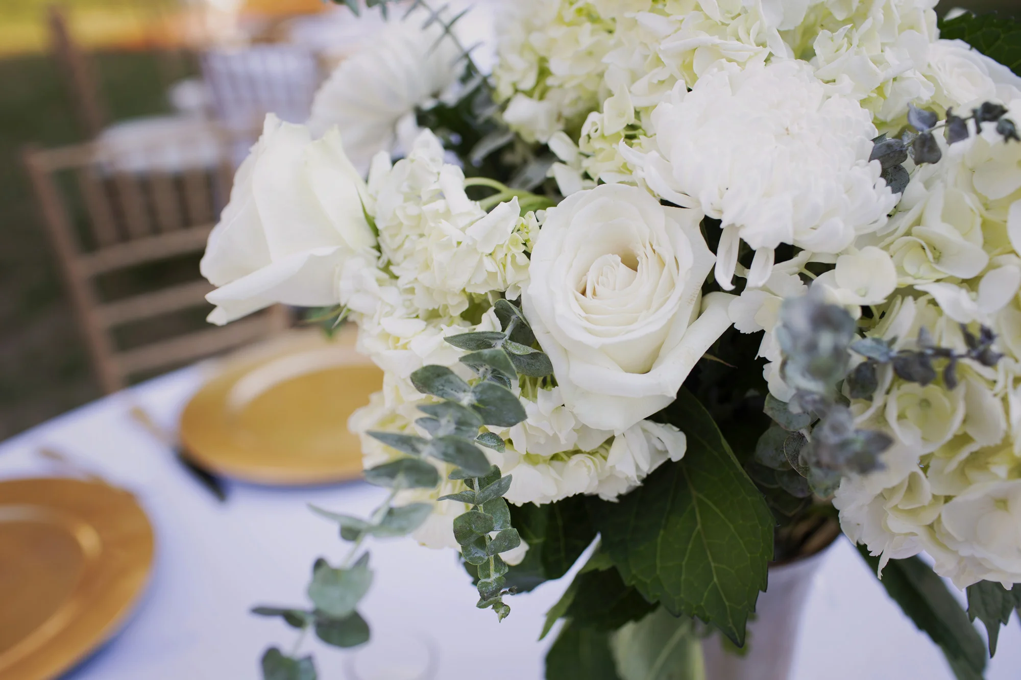 IMG_4195 copy.jpg