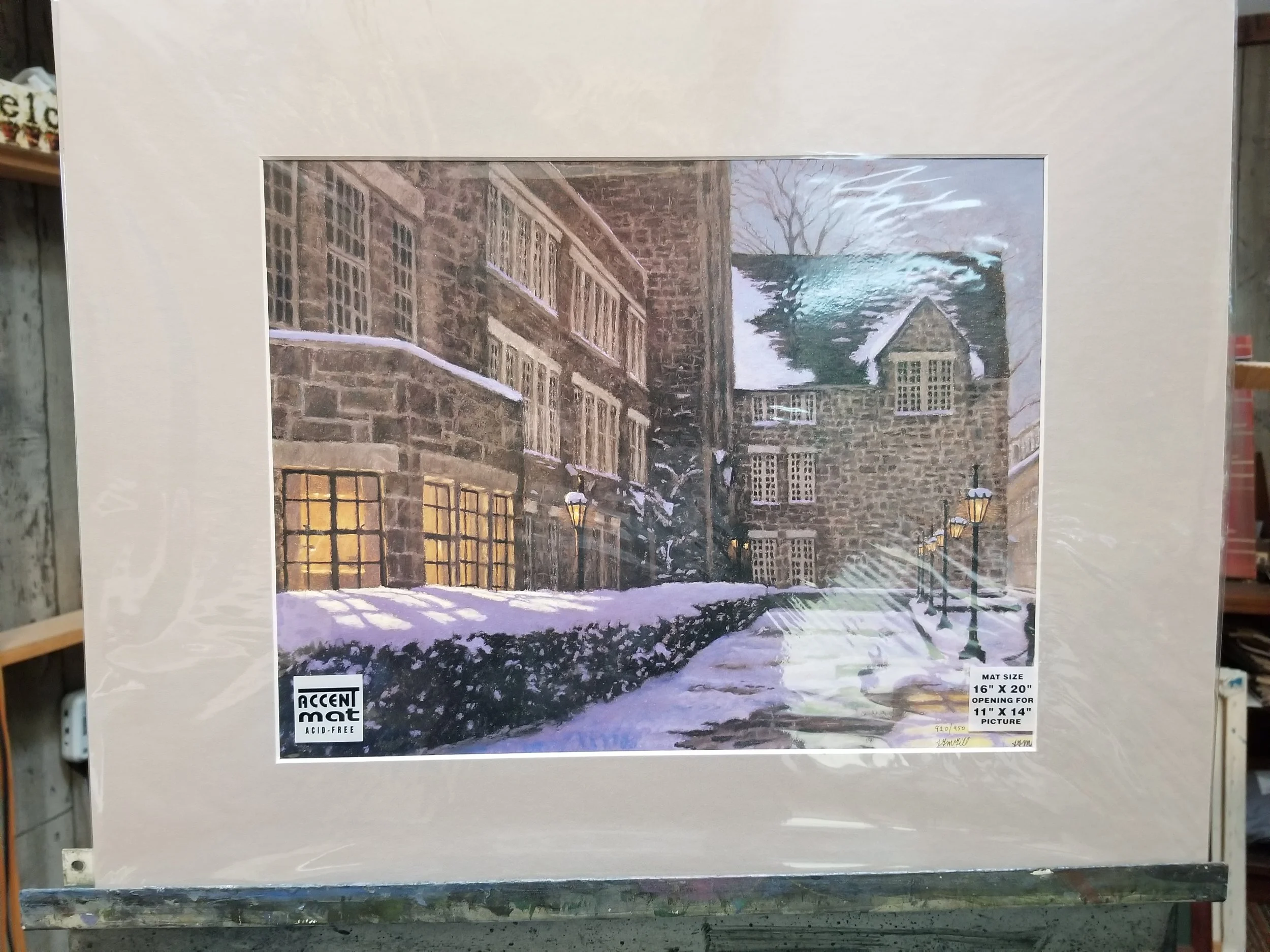 Sunshine and Shadows