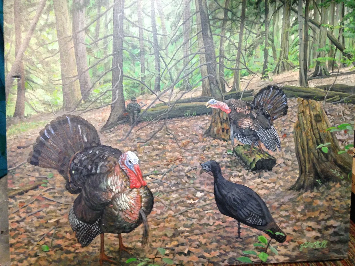 turkeys.jpg
