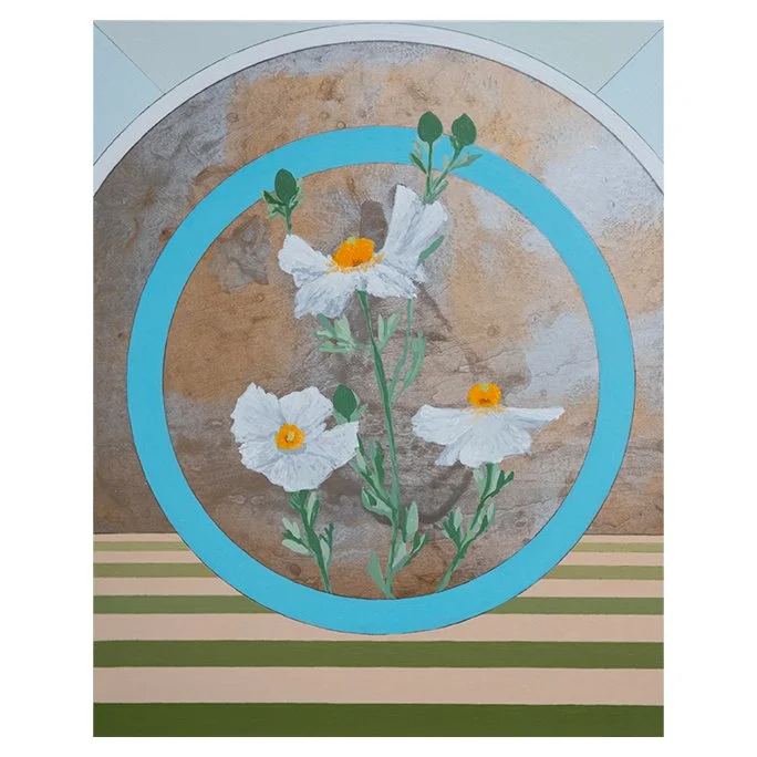 SQ-WEB Matilija Poppy.jpg