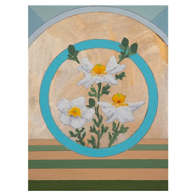 WEB Matilija Poppy 3. 8x6-.jpg