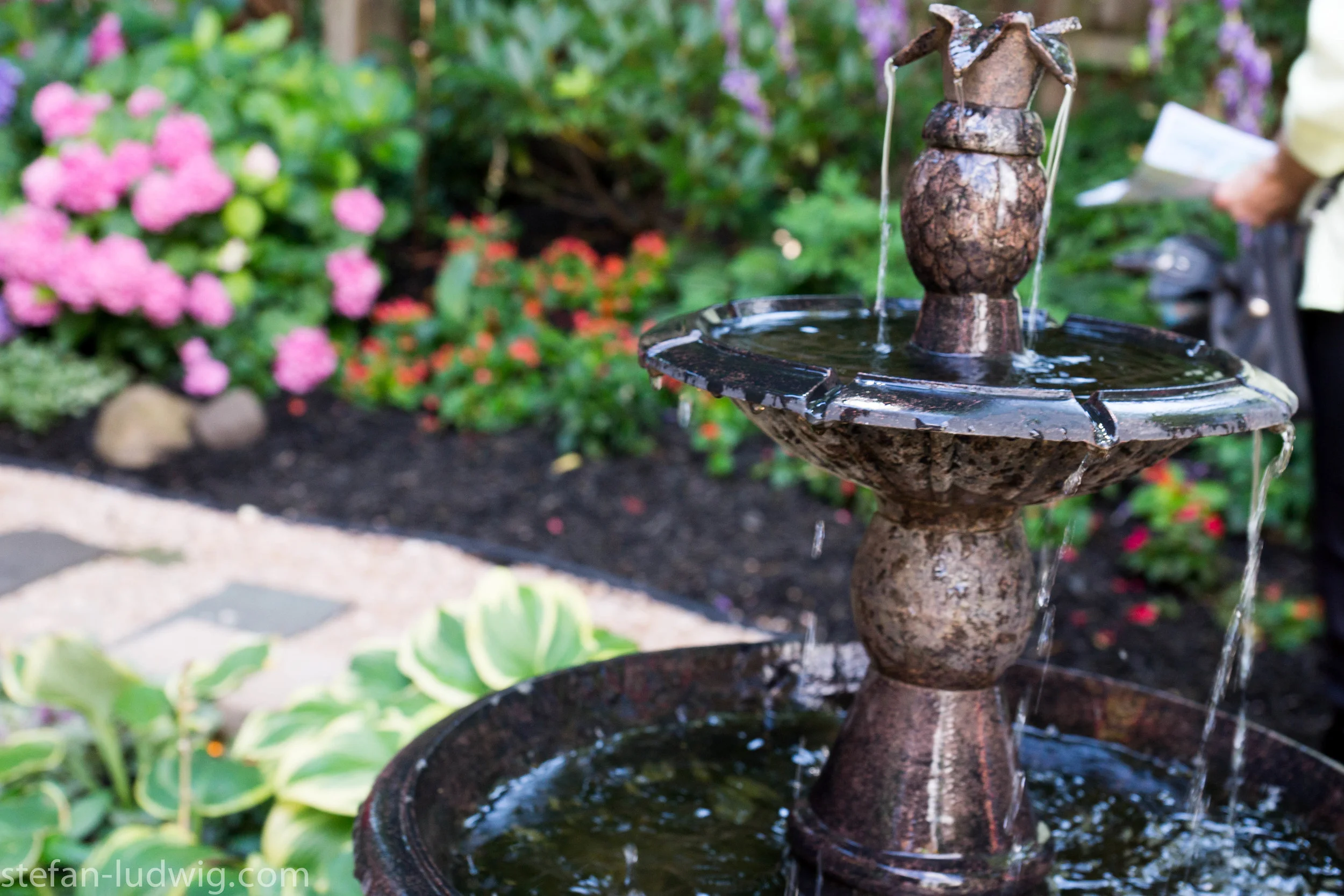 GardenWalk2013-04846.jpg