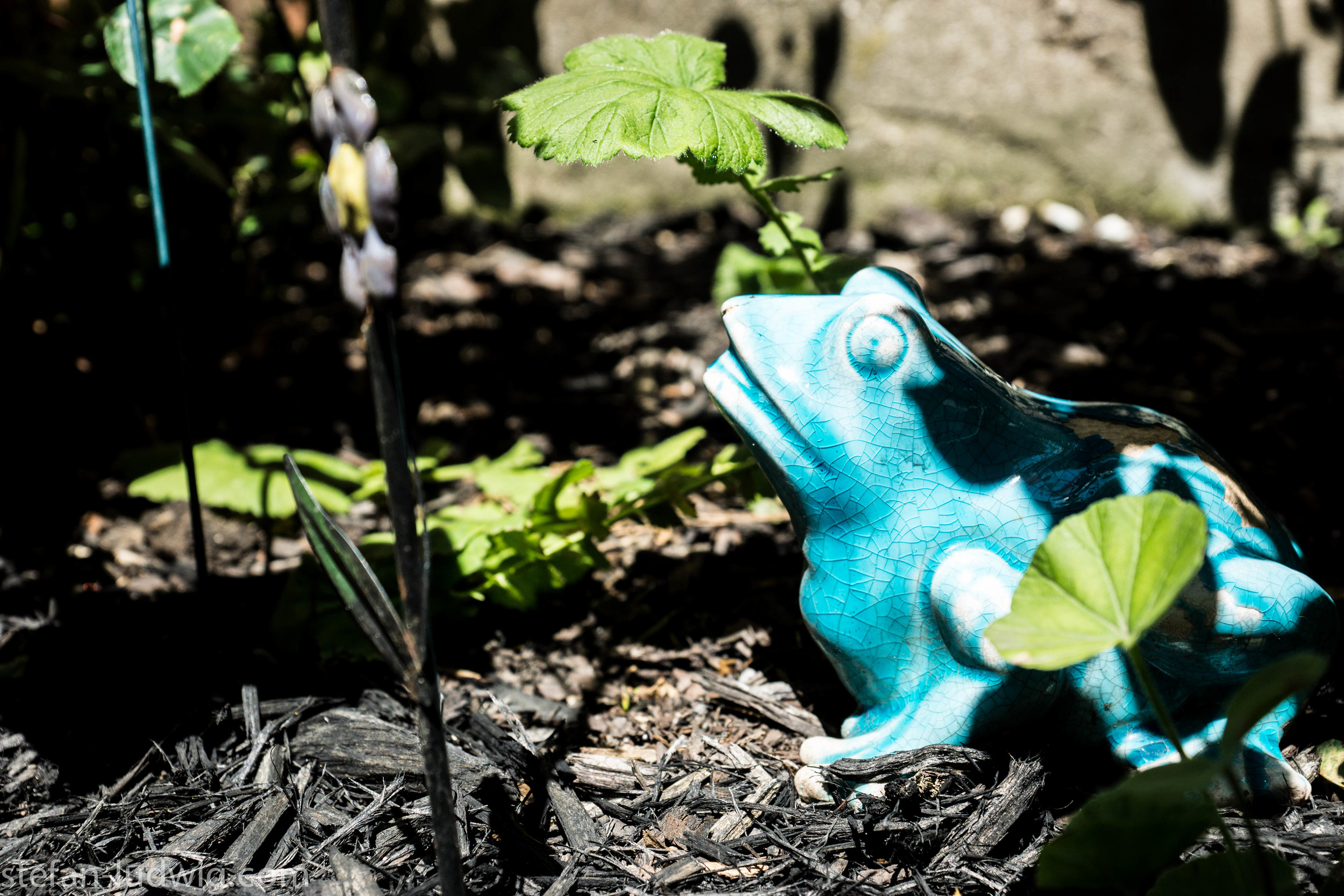 GardenWalk2013-04854.jpg