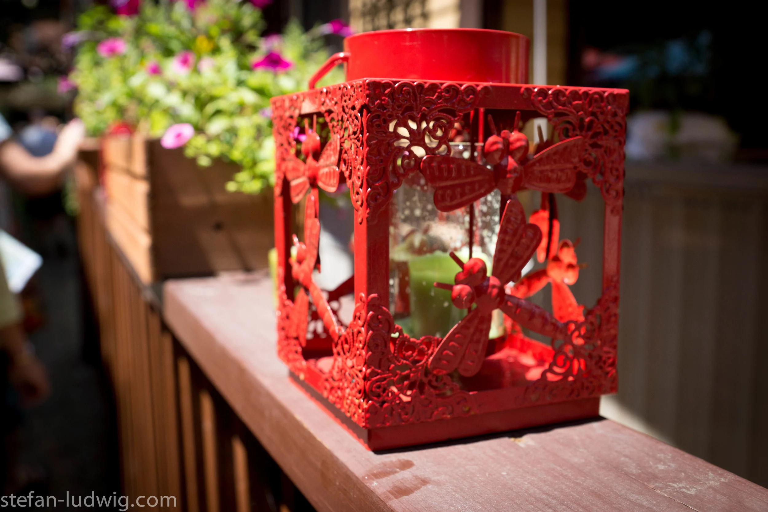 GardenWalk2013-04870.jpg