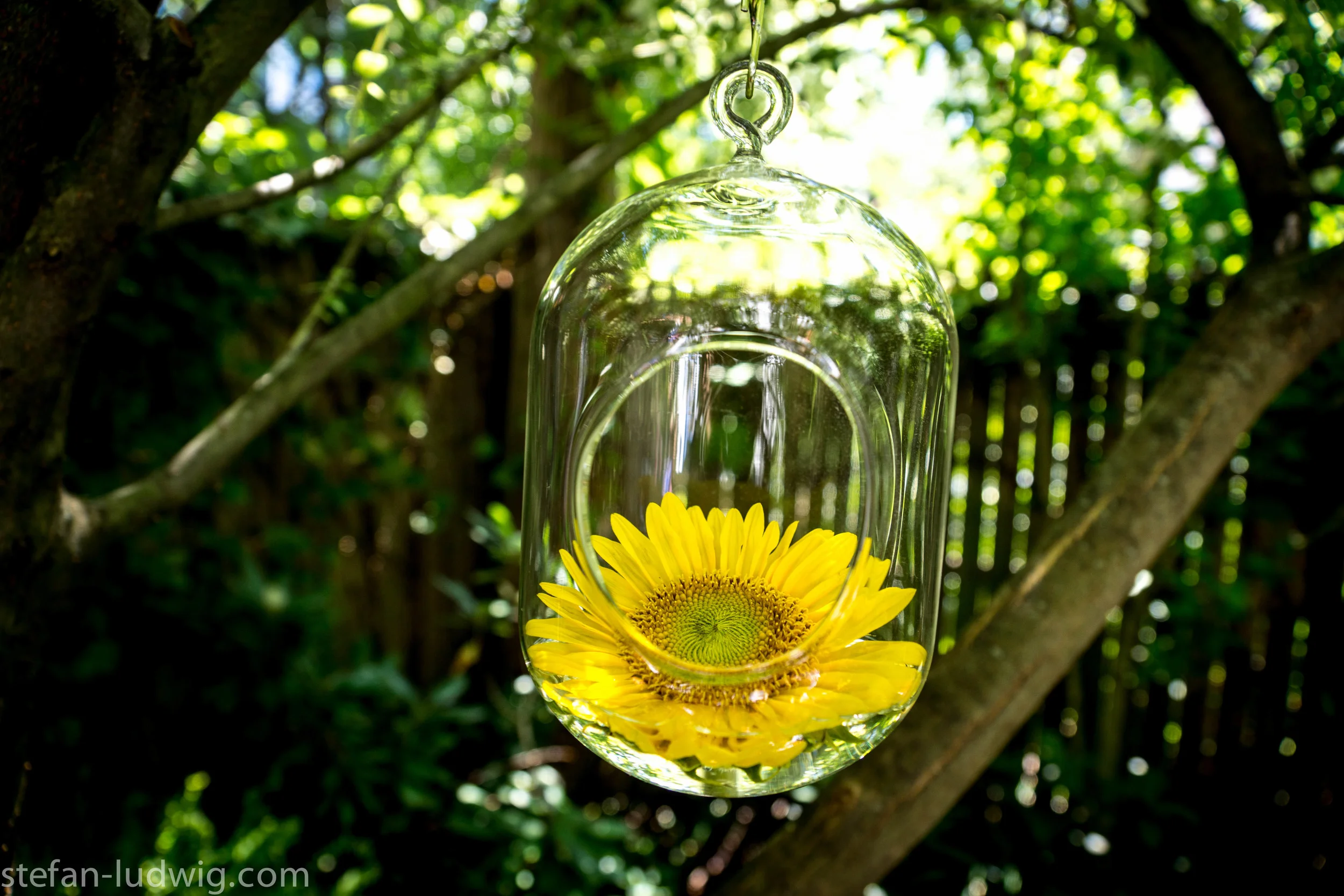 GardenWalk2013-04905.jpg