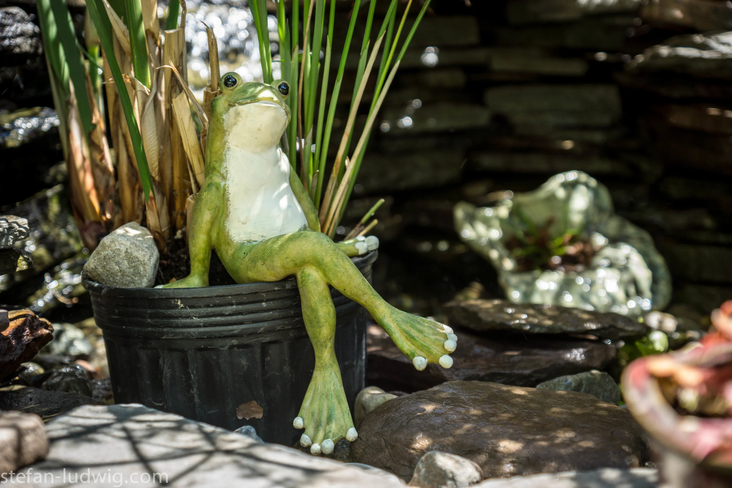 GardenWalk2013-05001.jpg