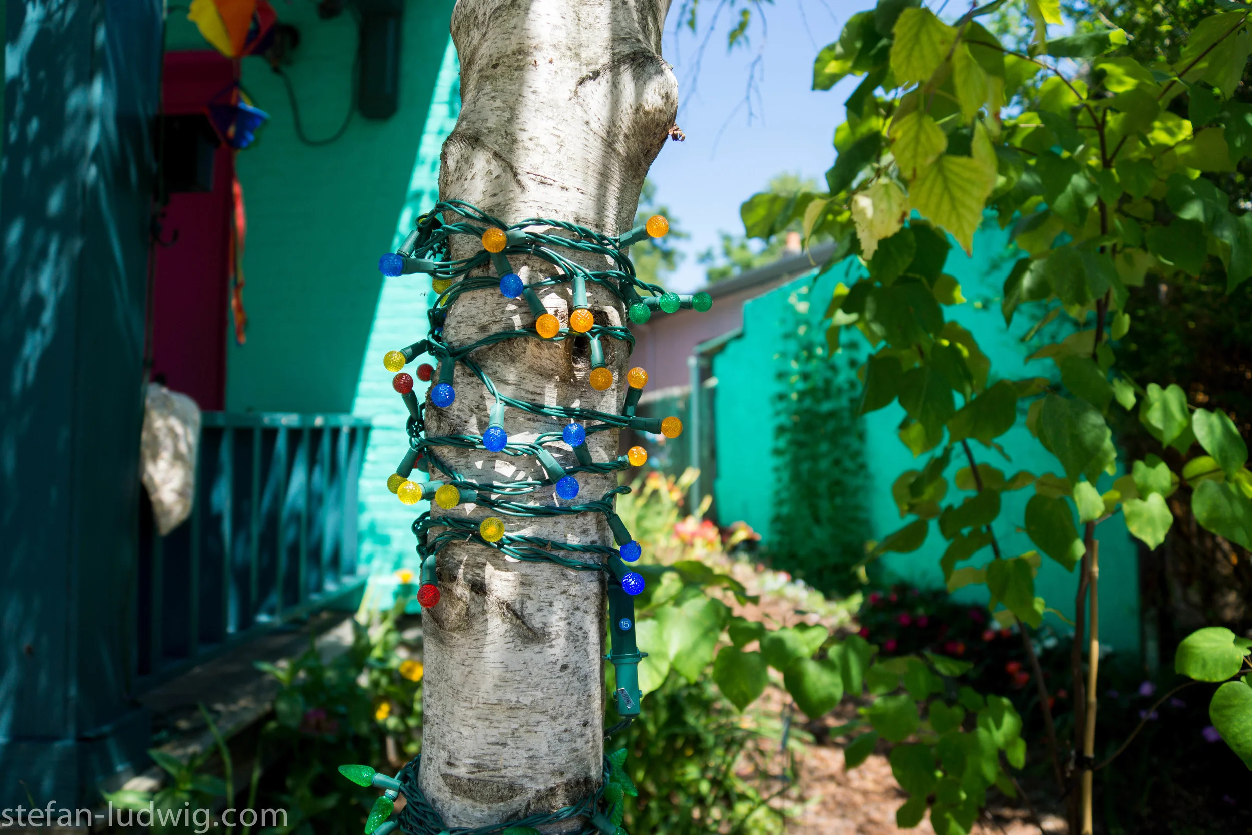GardenWalk2013-05030.jpg