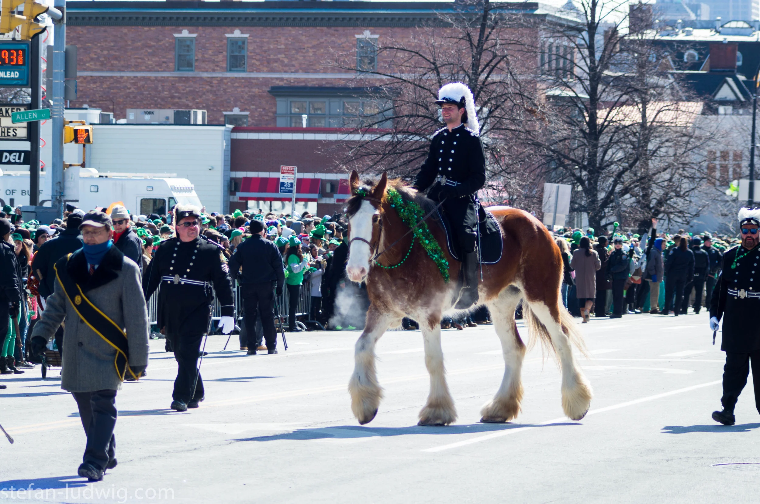 StPatricksDay2014-08386.jpg