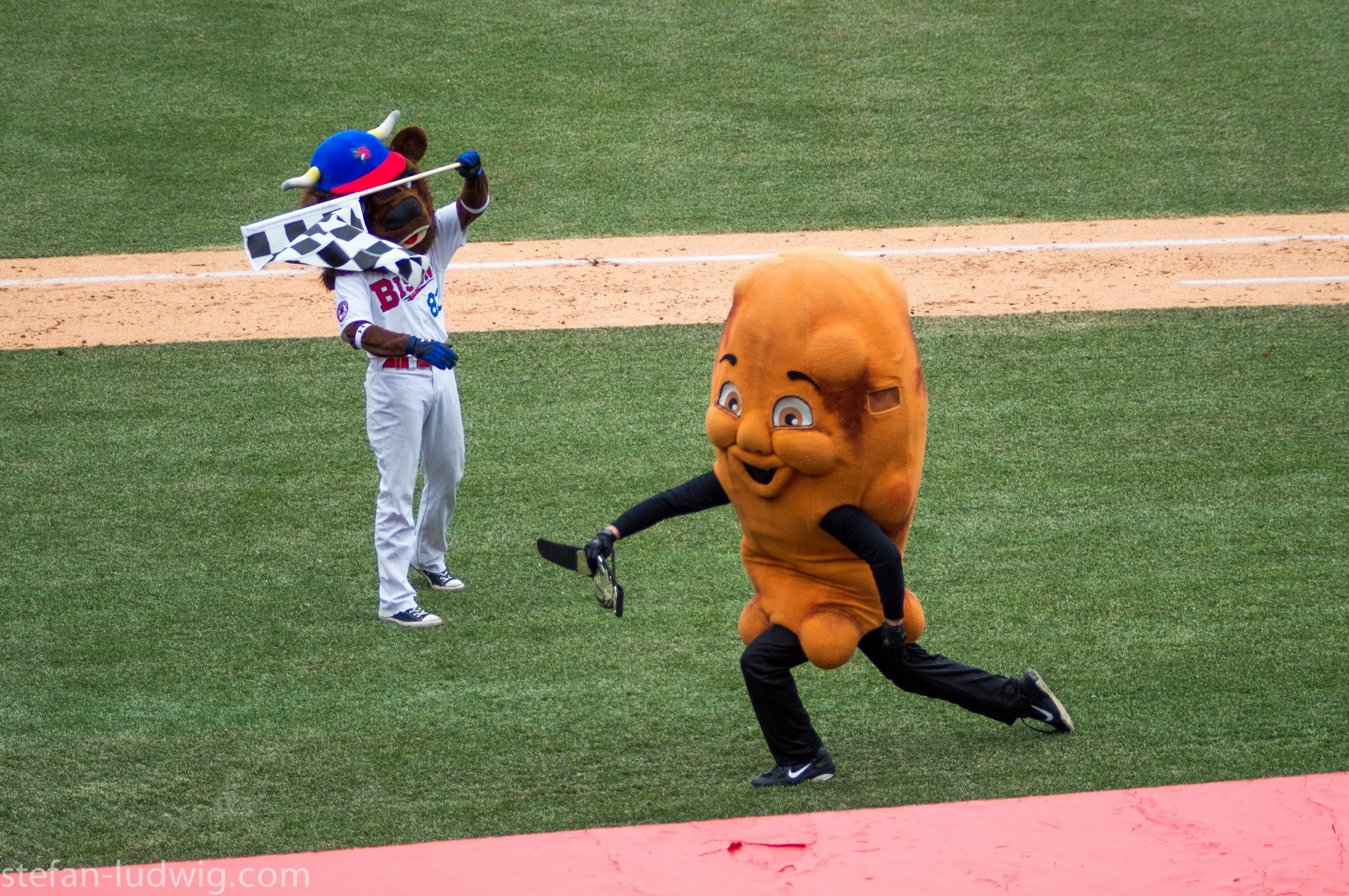 BisonsRochester-09123.jpg