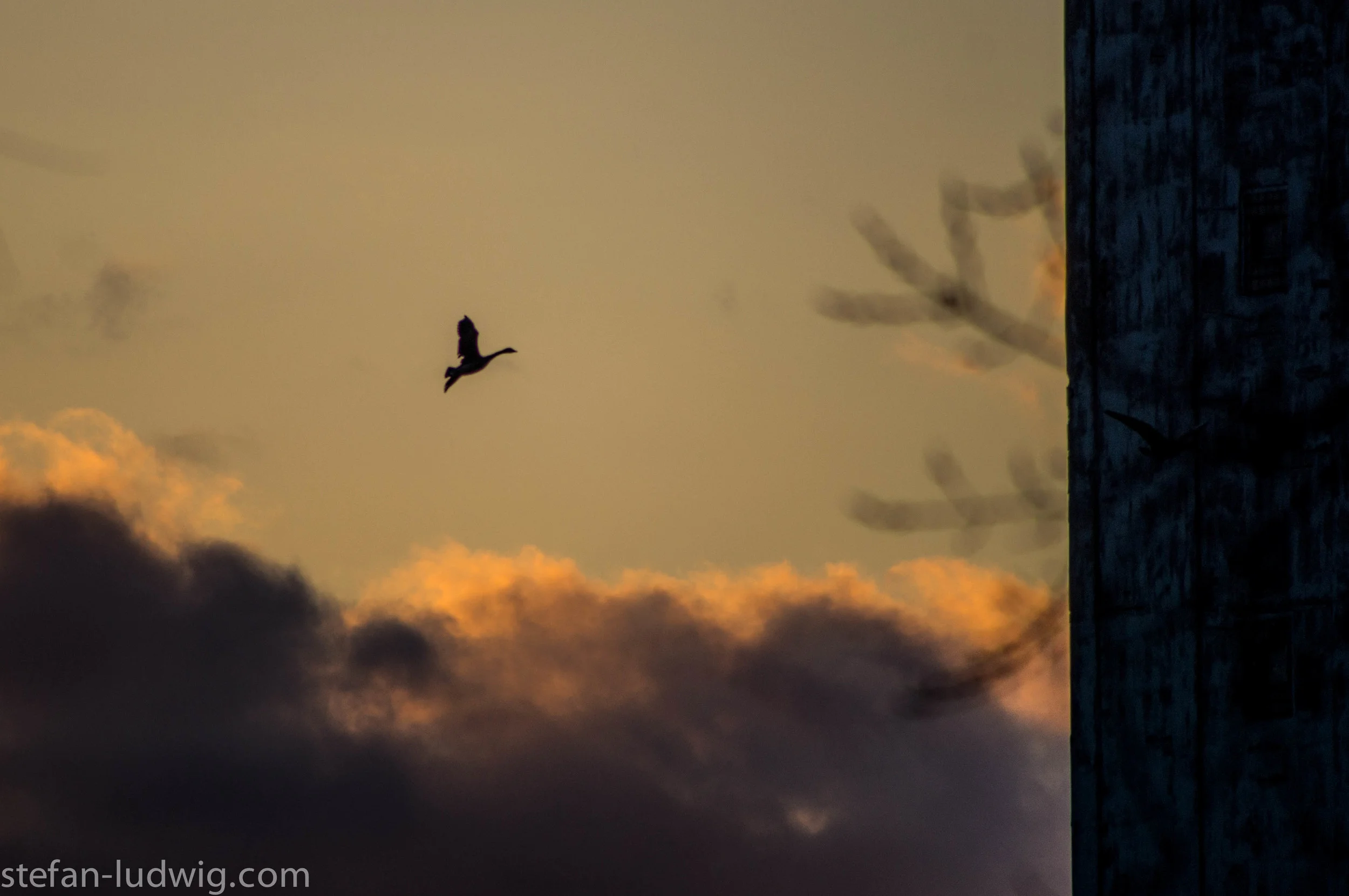 IndustrialSunset-07901.jpg