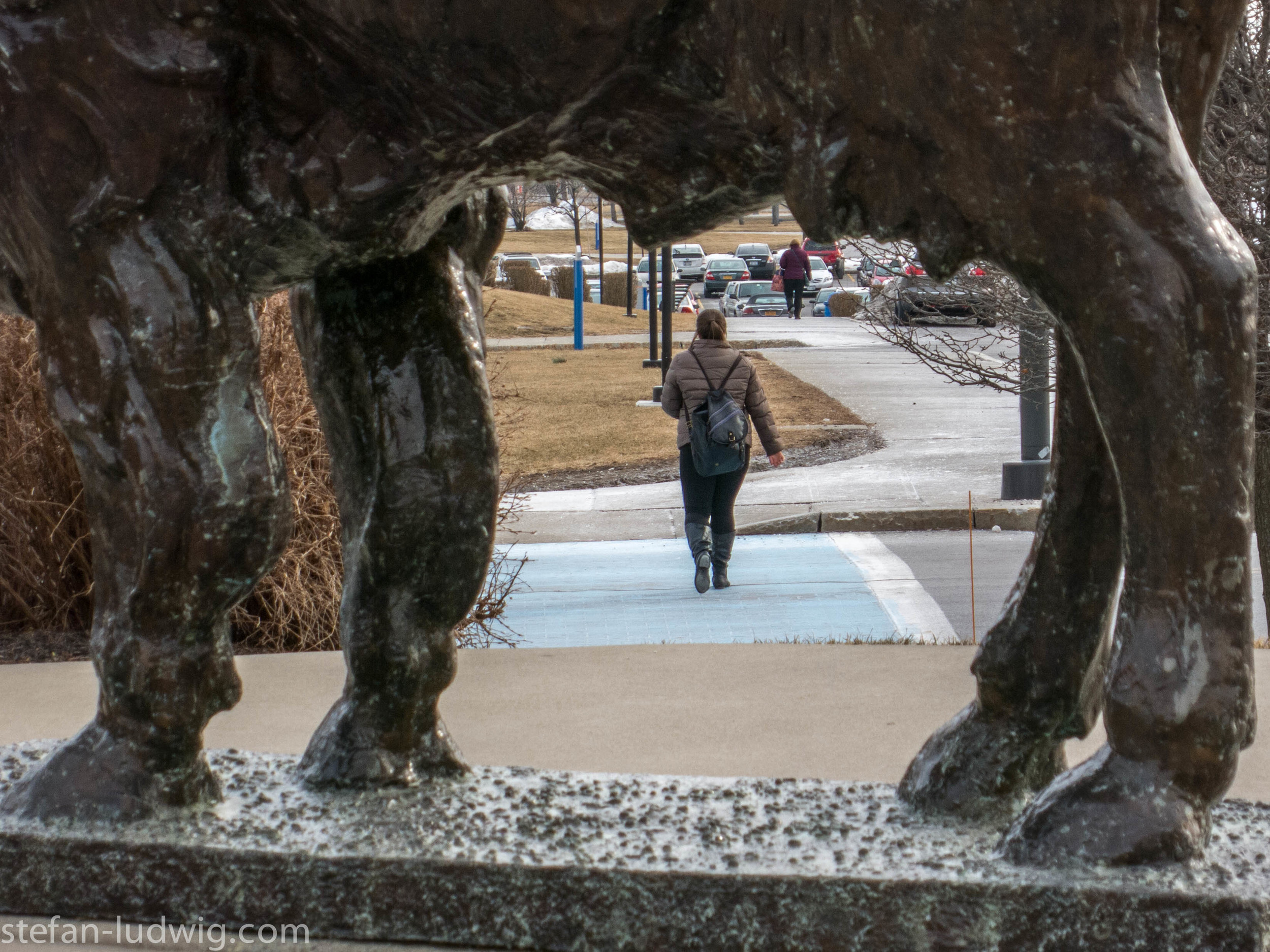 Buffalo-2550.jpg