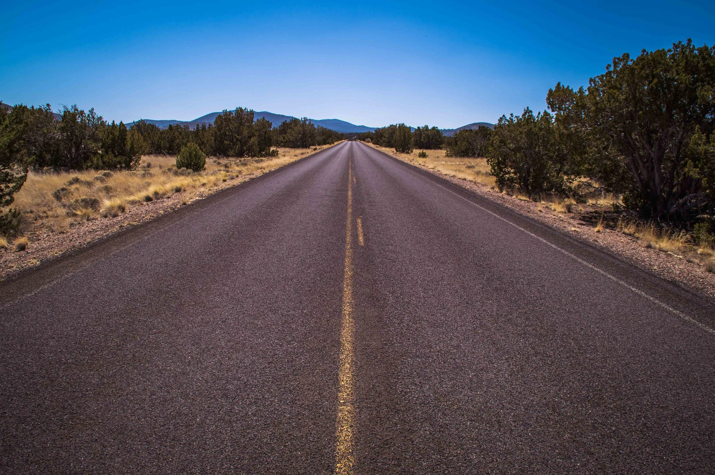 RoadTripDayOne-5.jpg